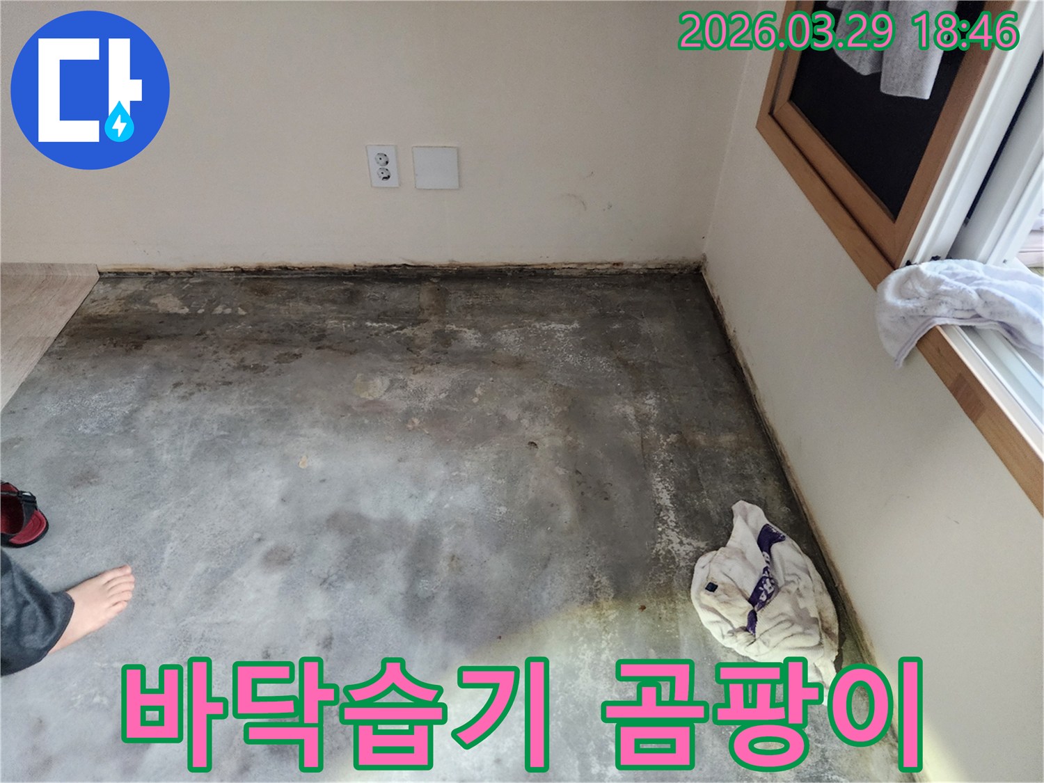 이 사진은-남양주 오남읍의 한 공간에서-바닥과 벽면 경계에-습기와 곰팡이가-심하게 발생한-누수 상황을-보여주고 있습니다