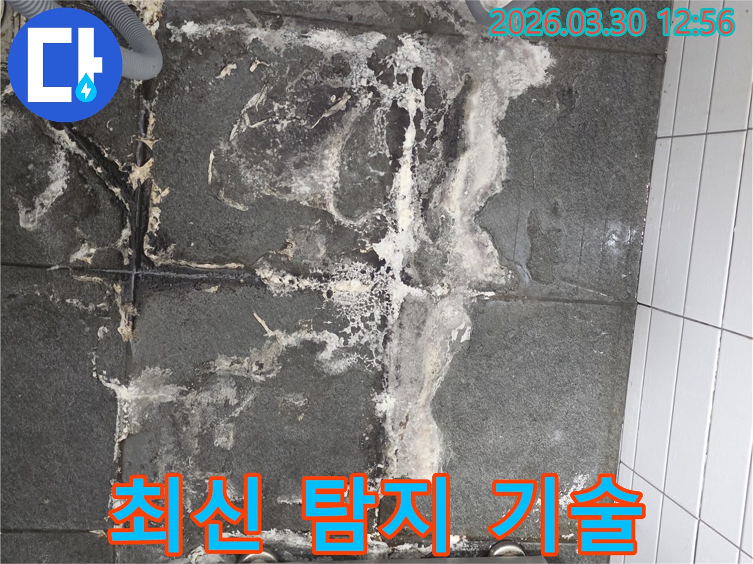 바닥 타일의 백화현상과-젖은 흔적은-정밀한 누수탐지 장비를 사용하여-숨겨진 누수 지점을 찾아야 함을 시사합니다.