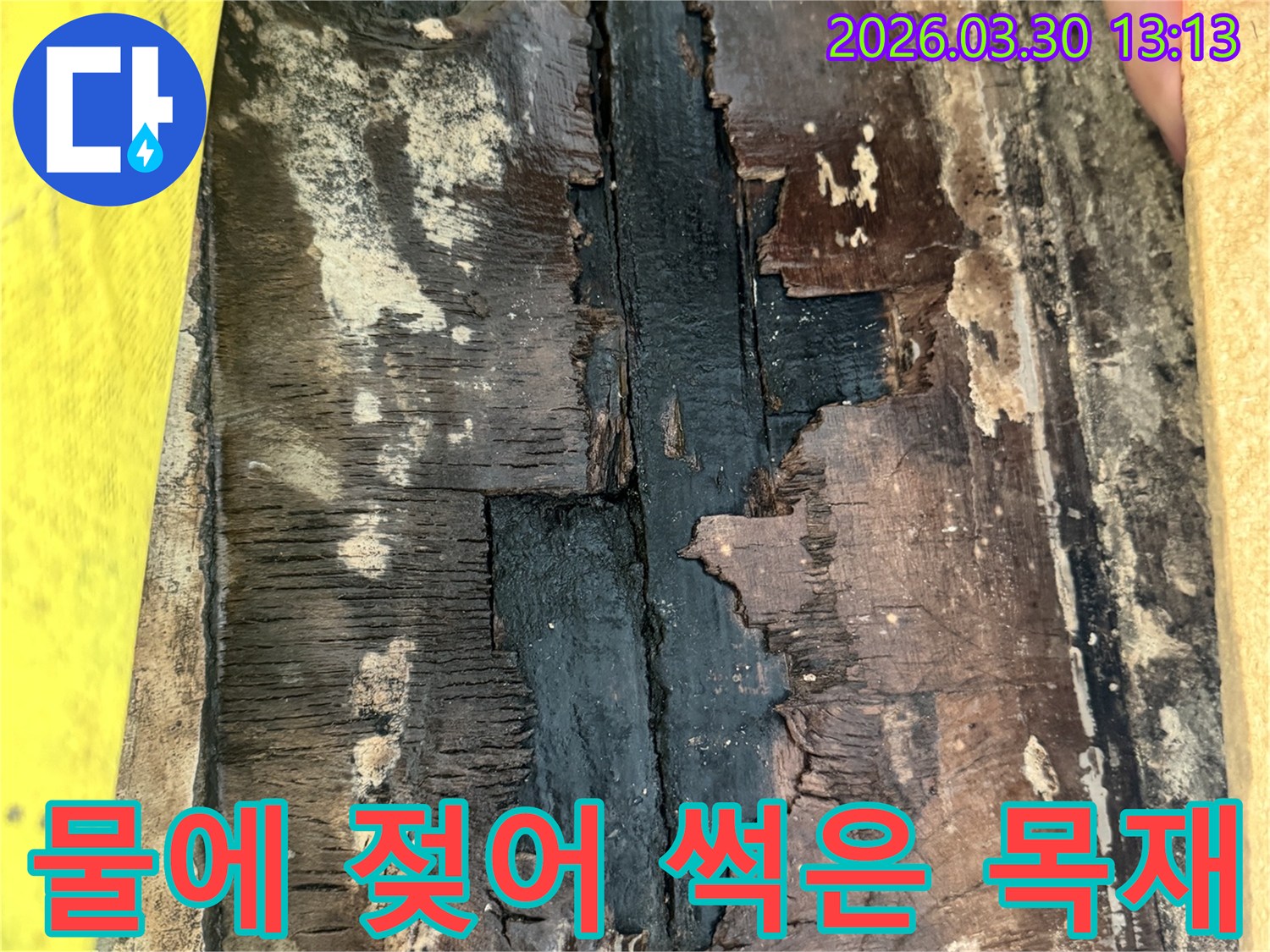 물에 젖어-검게 변색되고-부스러진 목재의-심각한 손상 상태를 보여주는 이미지