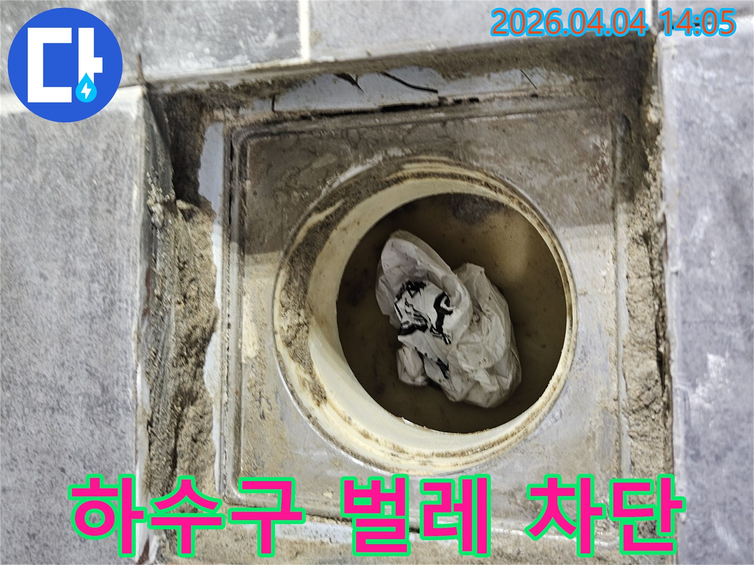 욕실 하수구 내부에-쌓인 오염물질로 인해-악취와 벌레가 유입될 수 있는-위생 불량 상태를 보여줍니다