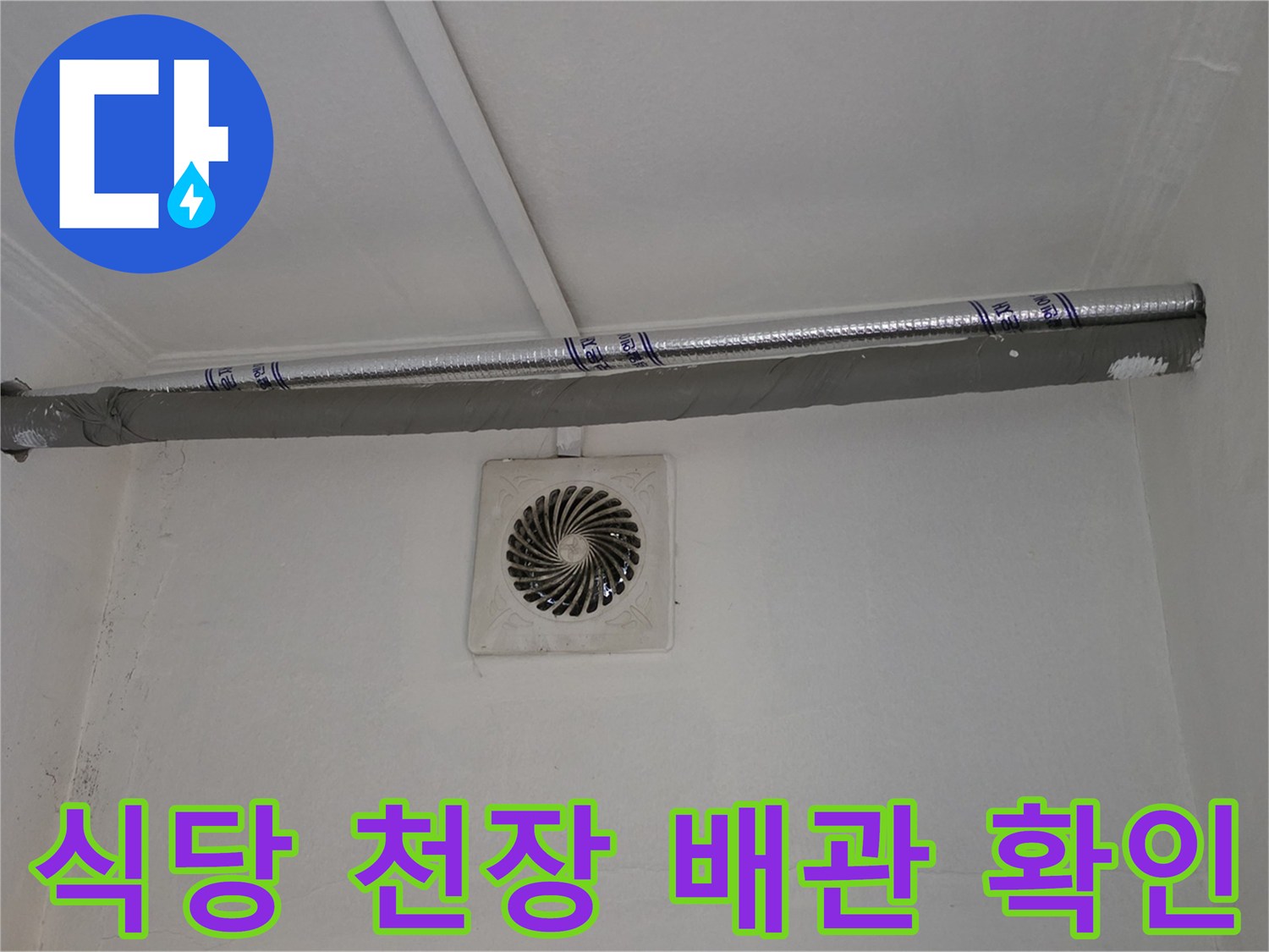 양주 백석읍 식당 내부 천장 타공 부위의 배관 경로 확인 장면
