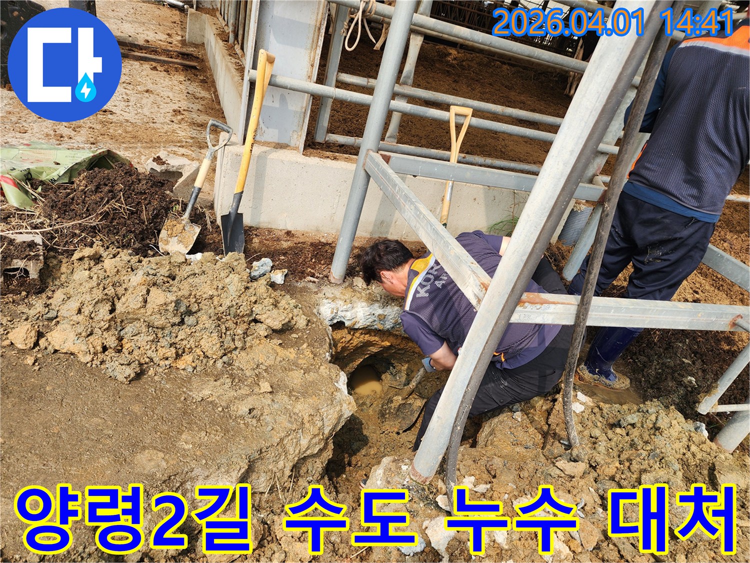 성환읍 양령2길 218번지에서-수도 누수가 발생하여-엔지니어가 신속하게 방문하여-문제 해결을 위한-탐지 및 굴착 작업을 진행하는 모습입니다.