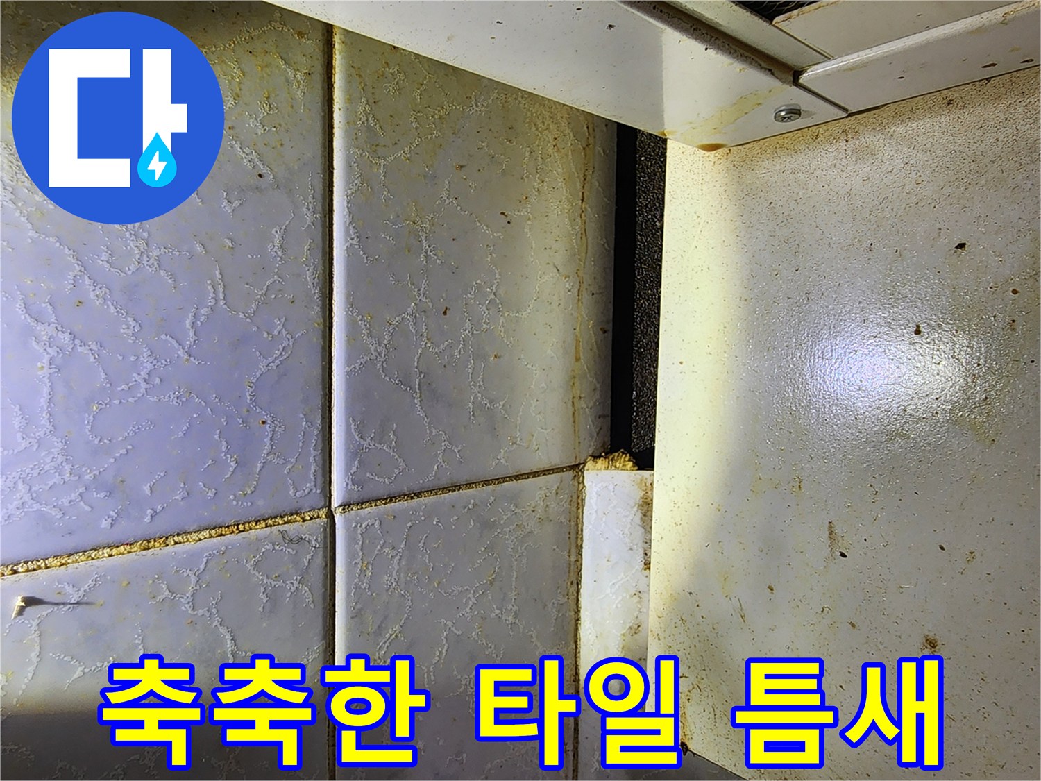 중랑구 현장-누수로 인해 습기를 머금고 변색된 타일 줄눈