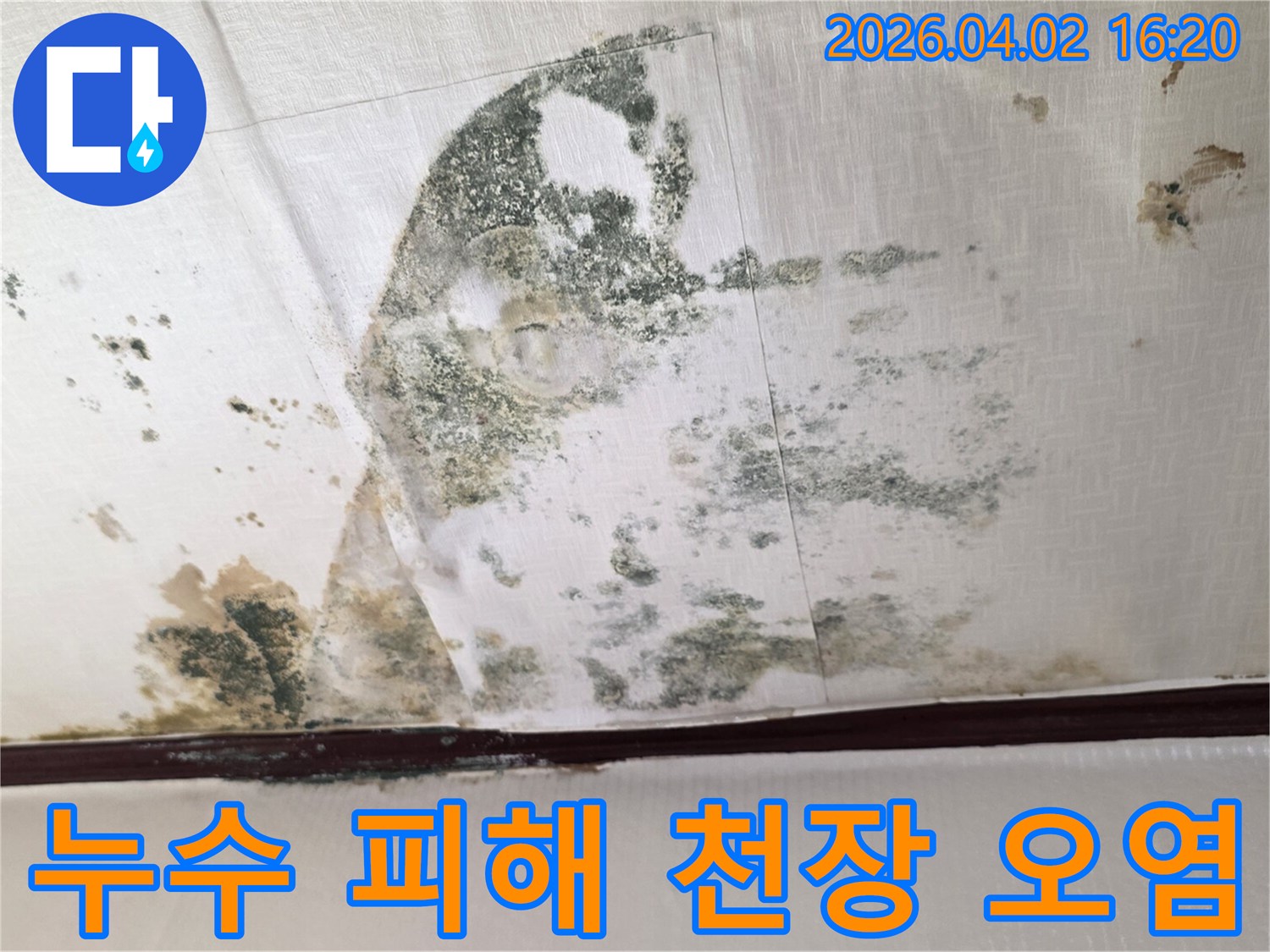 누수-문제로-인해-천장-도배지가-젖고-곰팡이가-생성된-현장을-촬영한-이미지입니다