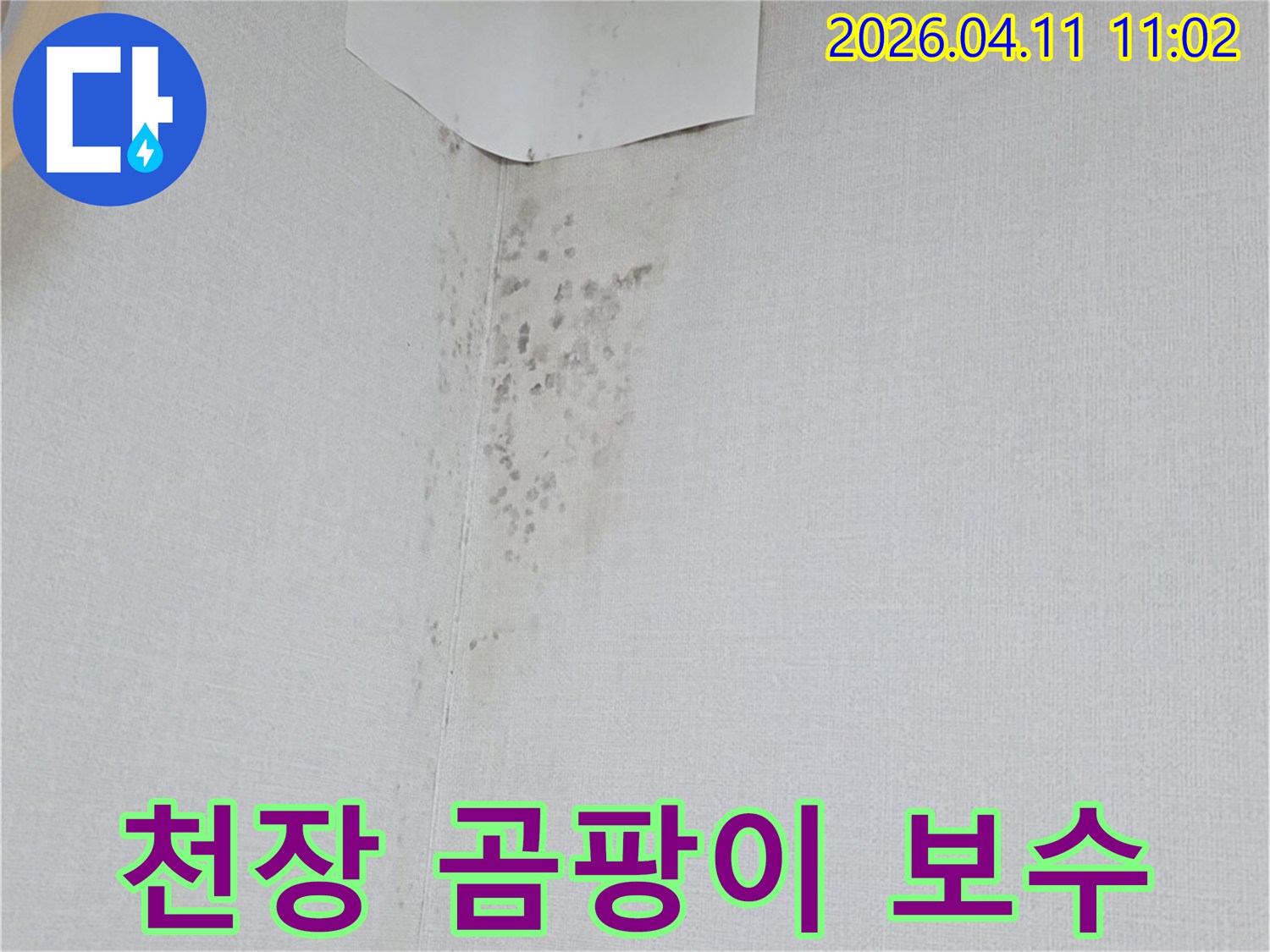 천장 벽지에 생긴 곰팡이-누수 보수 작업을 위한 현장 진단 이미지입니다