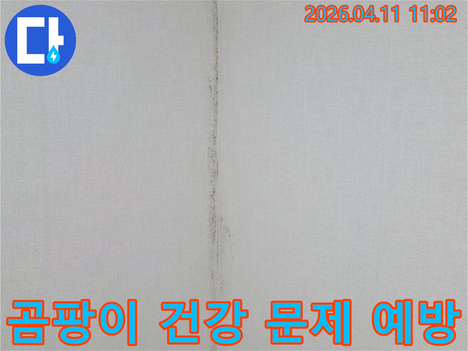천장과-벽면-경계에-발생한-누수-흔적과-곰팡이-오염을-보여주는-사진입니다.