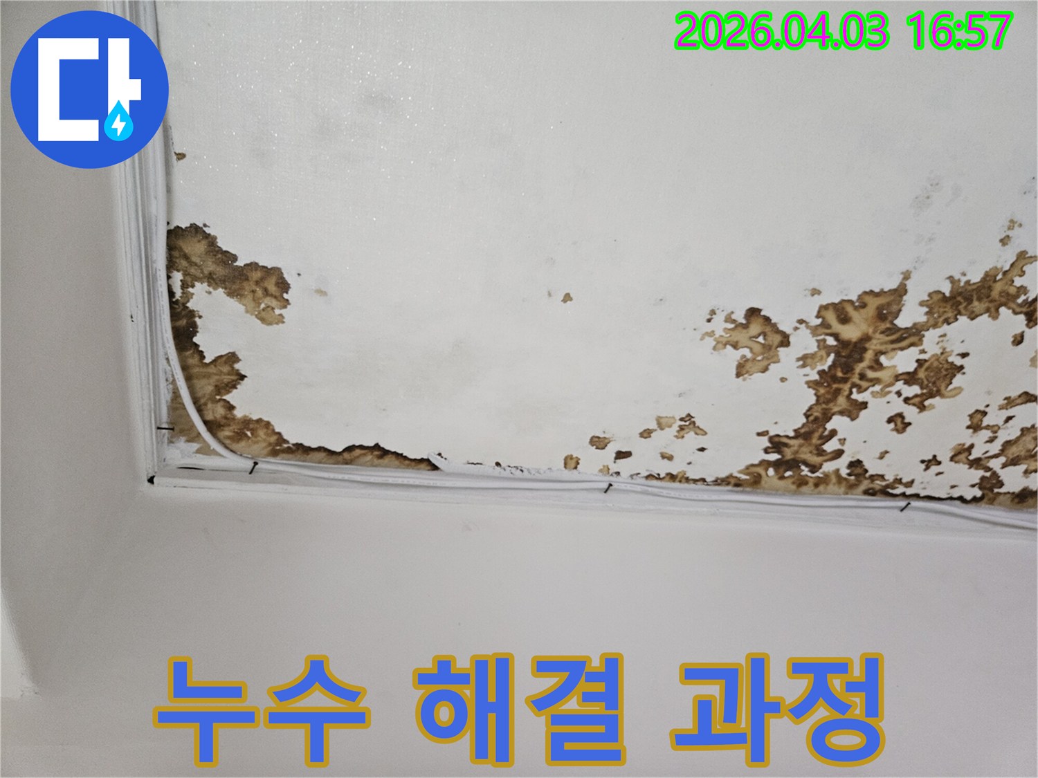 천장 표면에 얼룩덜룩하게 번진 물-자국과-마감재-손상을 통해-누수-해결이-시급함을 보여주는 사진
