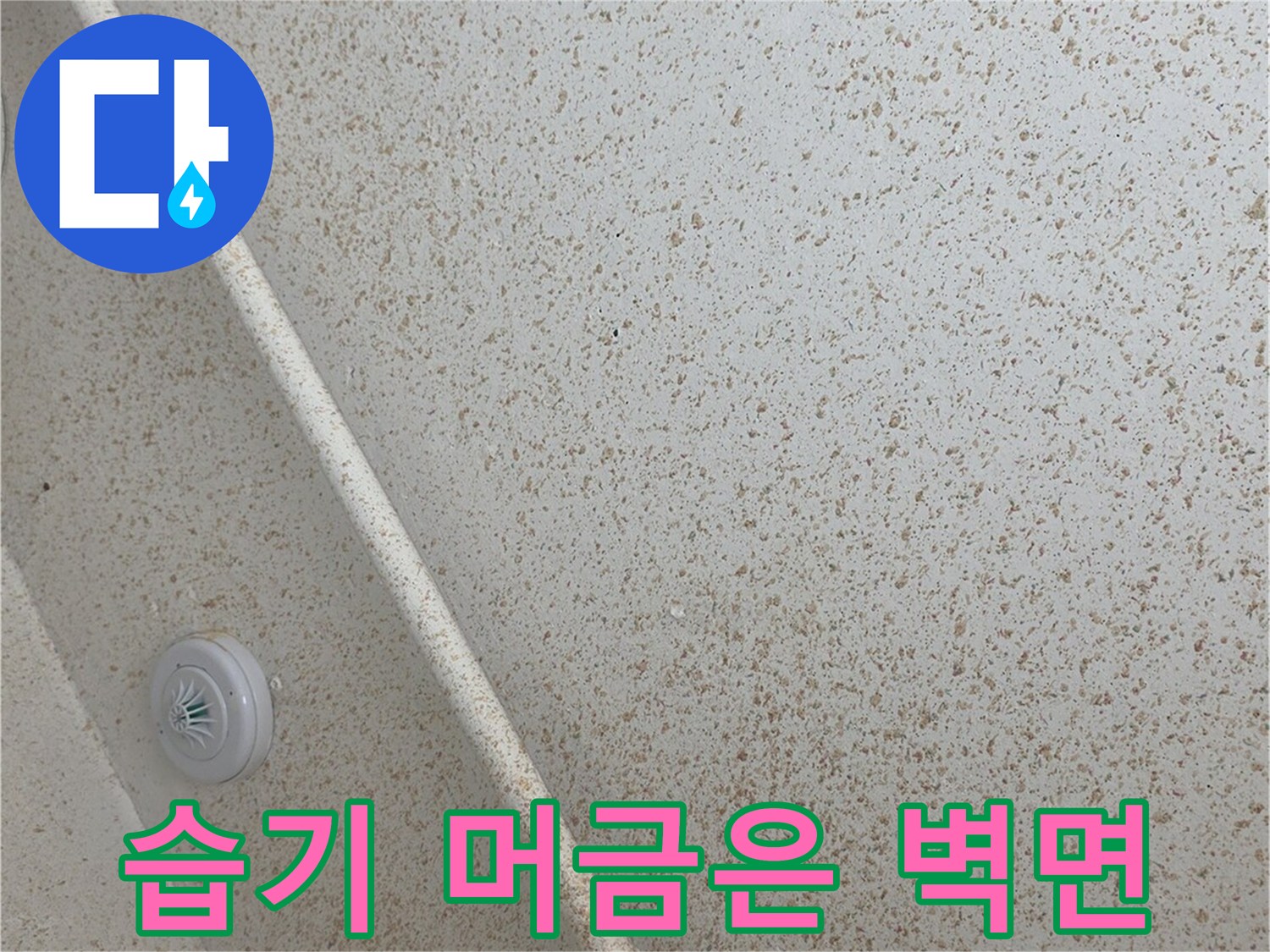 보일러실 내부의 습기가 감지되는 벽면과 하단 배관 연결 지점