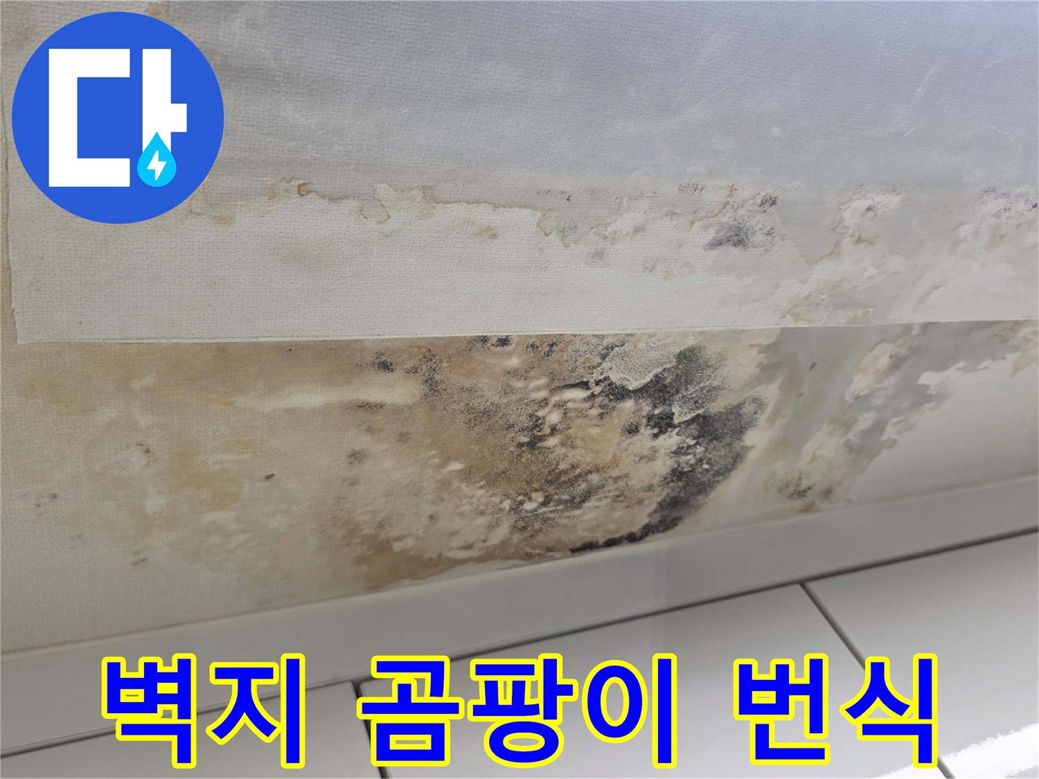 누수로 인해 변색되고 곰팡이가 피어오른 천장 벽면 모습