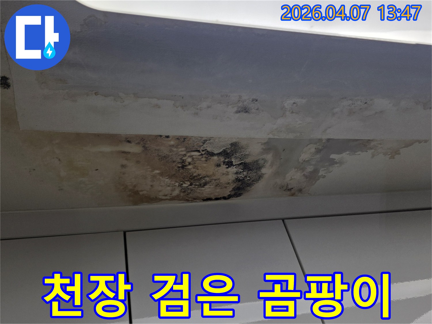 주택-천장에-생긴-누수-얼룩과-광범위하게-번진-검은-곰팡이-피해-상태