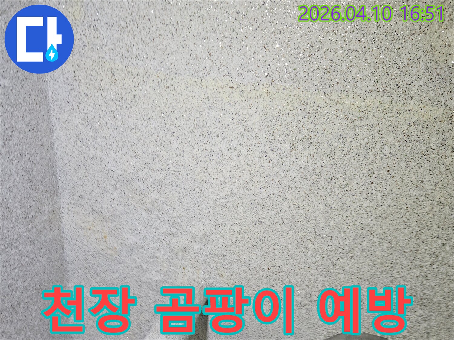 천장 마감재의-습기 흔적을 통해-곰팡이 발생 전-누수 원인을-저희 엔지니어가-파악하는 모습입니다