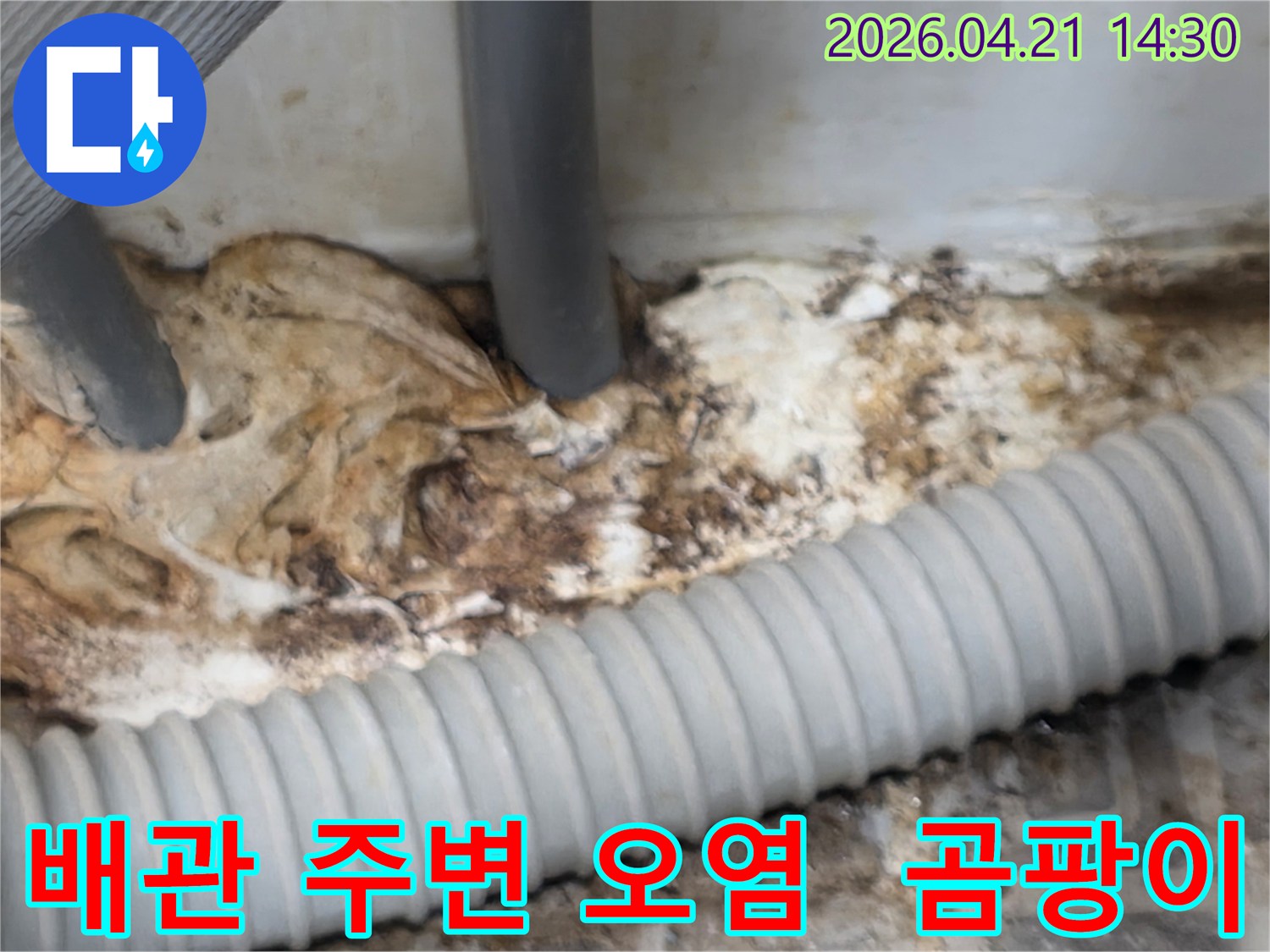 오래된-배관-주변에-발생한-누수로-인해-심하게-오염되고-곰팡이가-번식한-현장의-모습