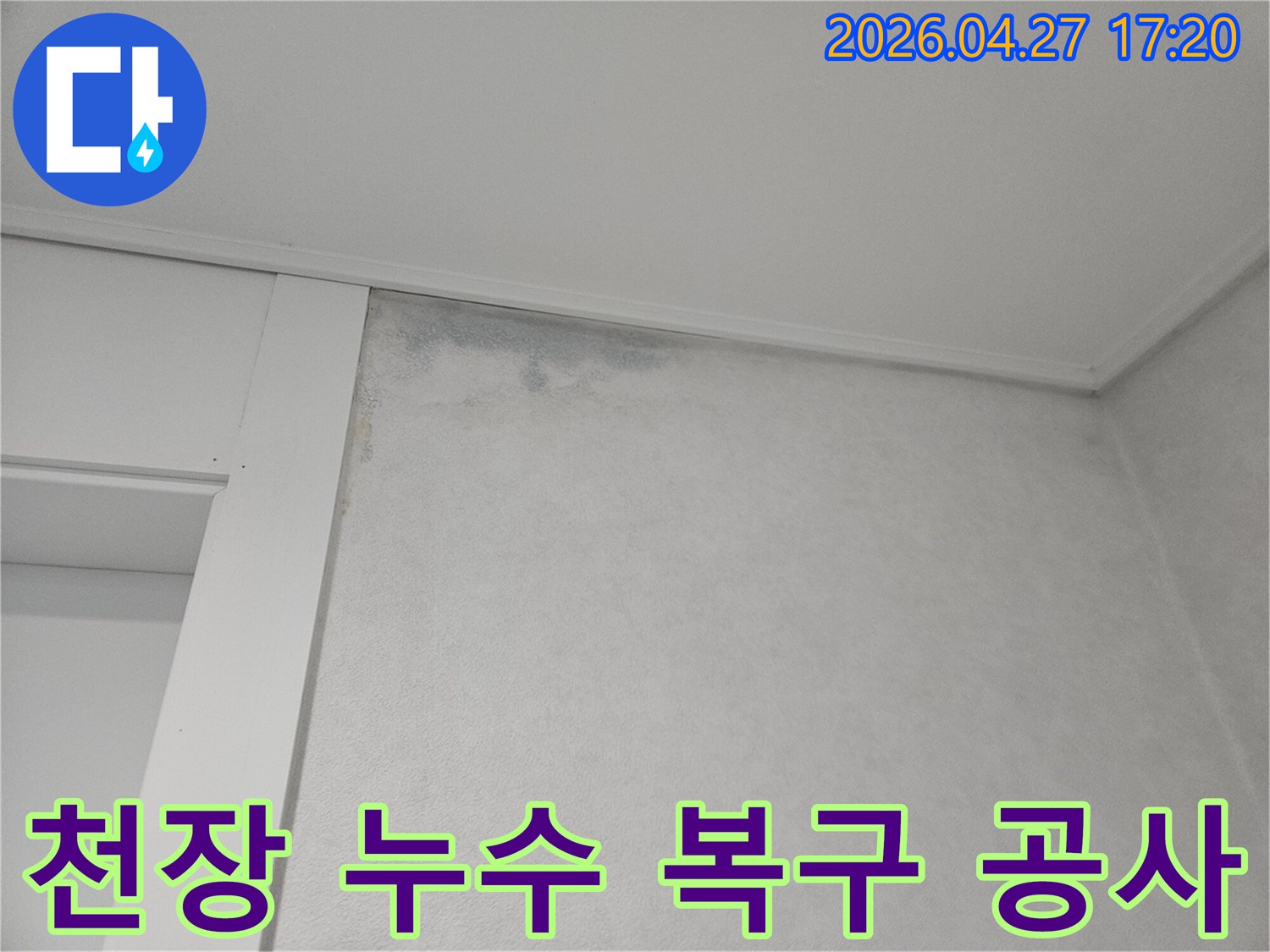 벽지-상단에-물에-젖어-변색된-부분과-곰팡이가-시작된-모습입니다.