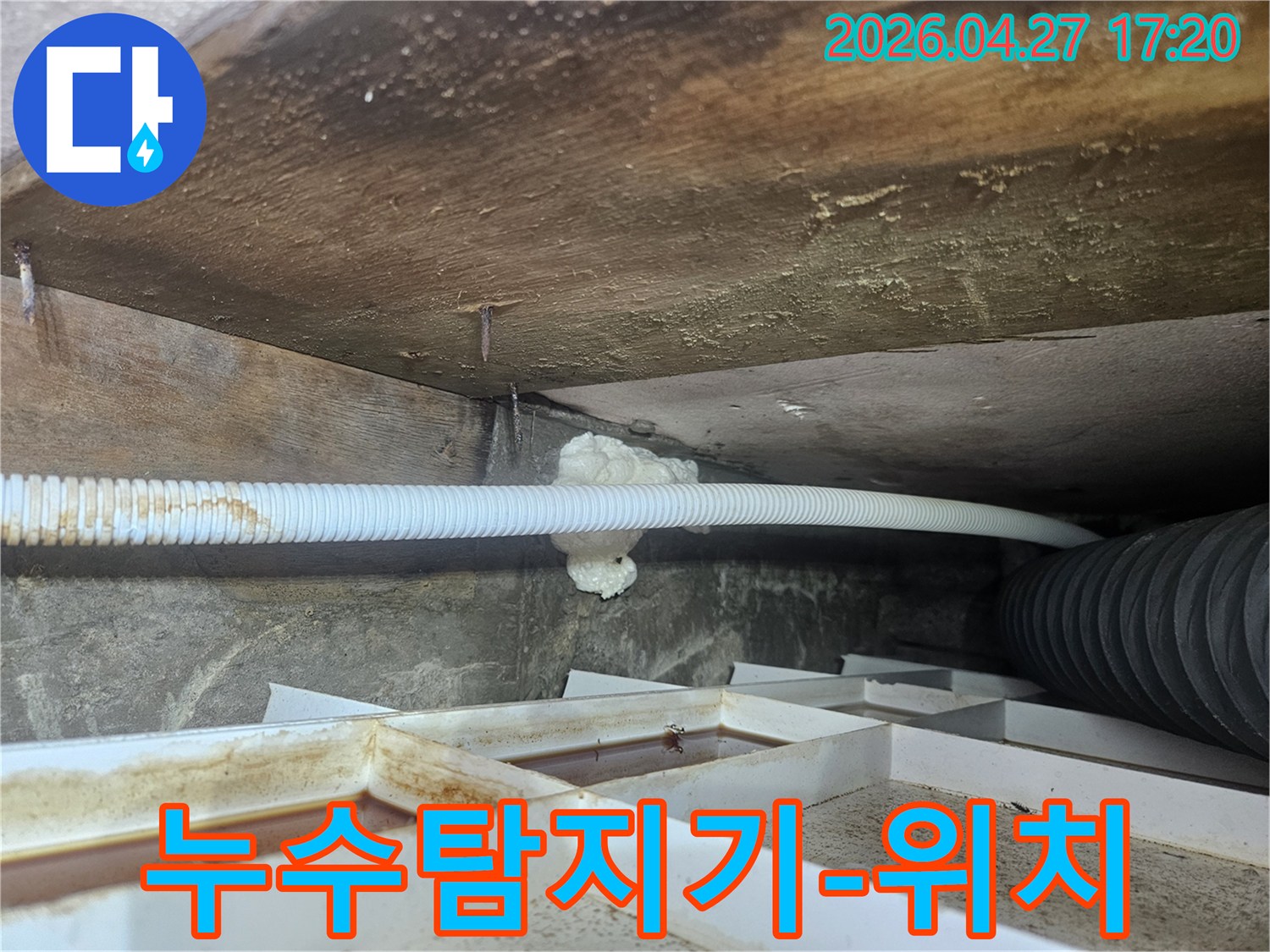 욕실-천장-누수-현장에서-누수탐지기를-활용하여-정확한-누수-위치를-찾는-전문가의-모습