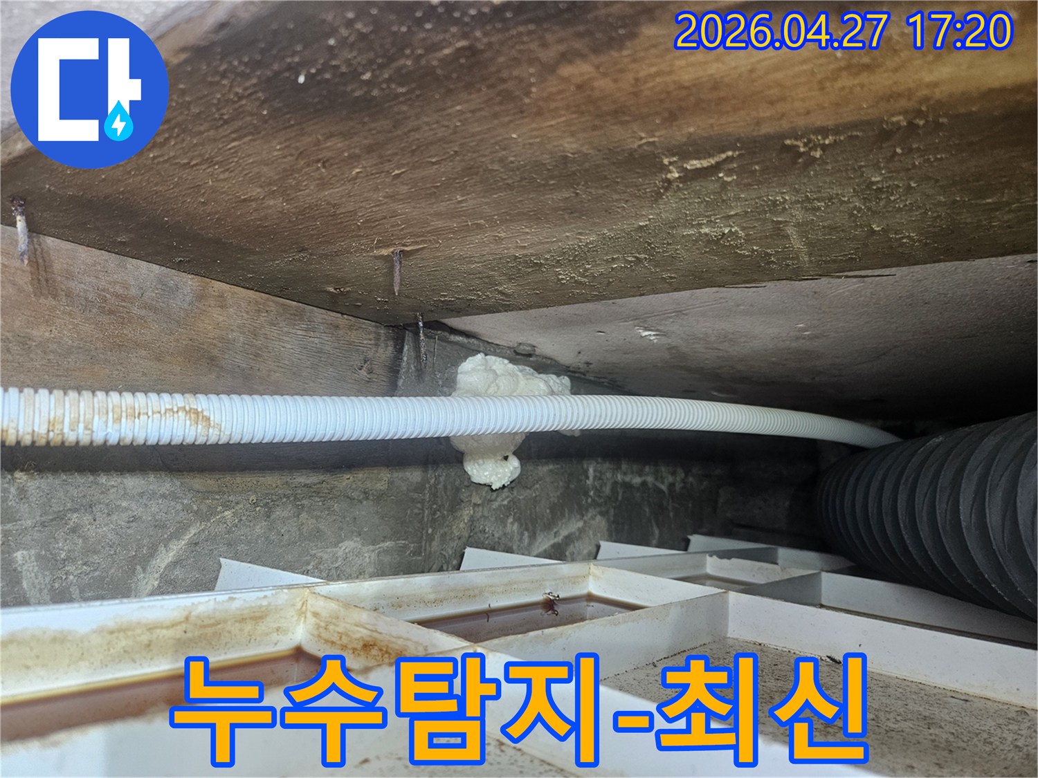 욕실-천장-누수-현장에서-최신-누수탐지-장비를-활용하여-정확한-원인을-찾는-전문가의-모습