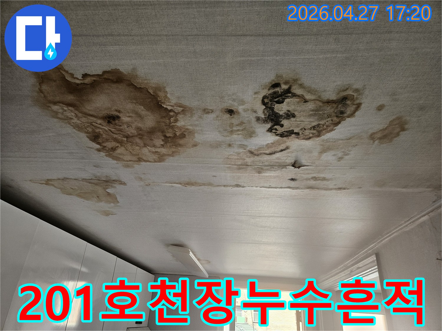 천장 곳곳에-심각하게 번진 누수 얼룩과-곰팡이 흔적을 보여주는 이미지-빌라 201호에서 발견된-오래된 누수 피해 현장