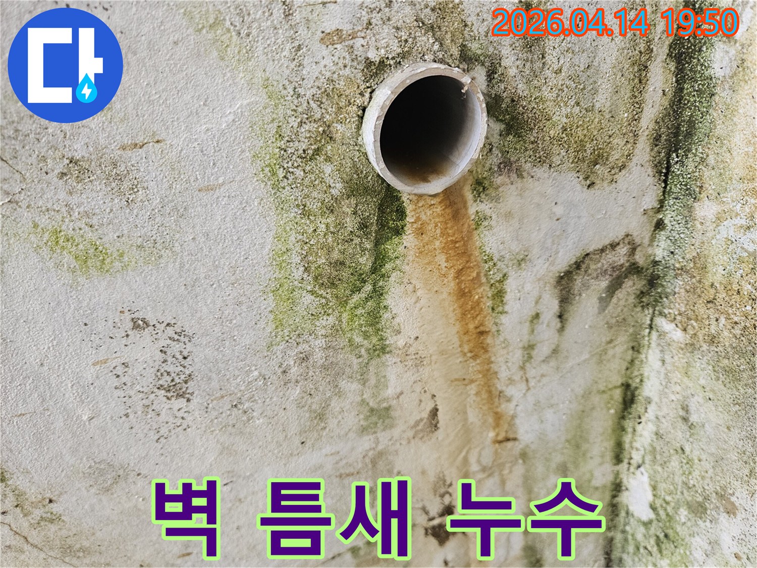 배관-주변에서-물이-새어-나와-벽에-오래된-물얼룩과-초록색-곰팡이가-생긴-모습입니다