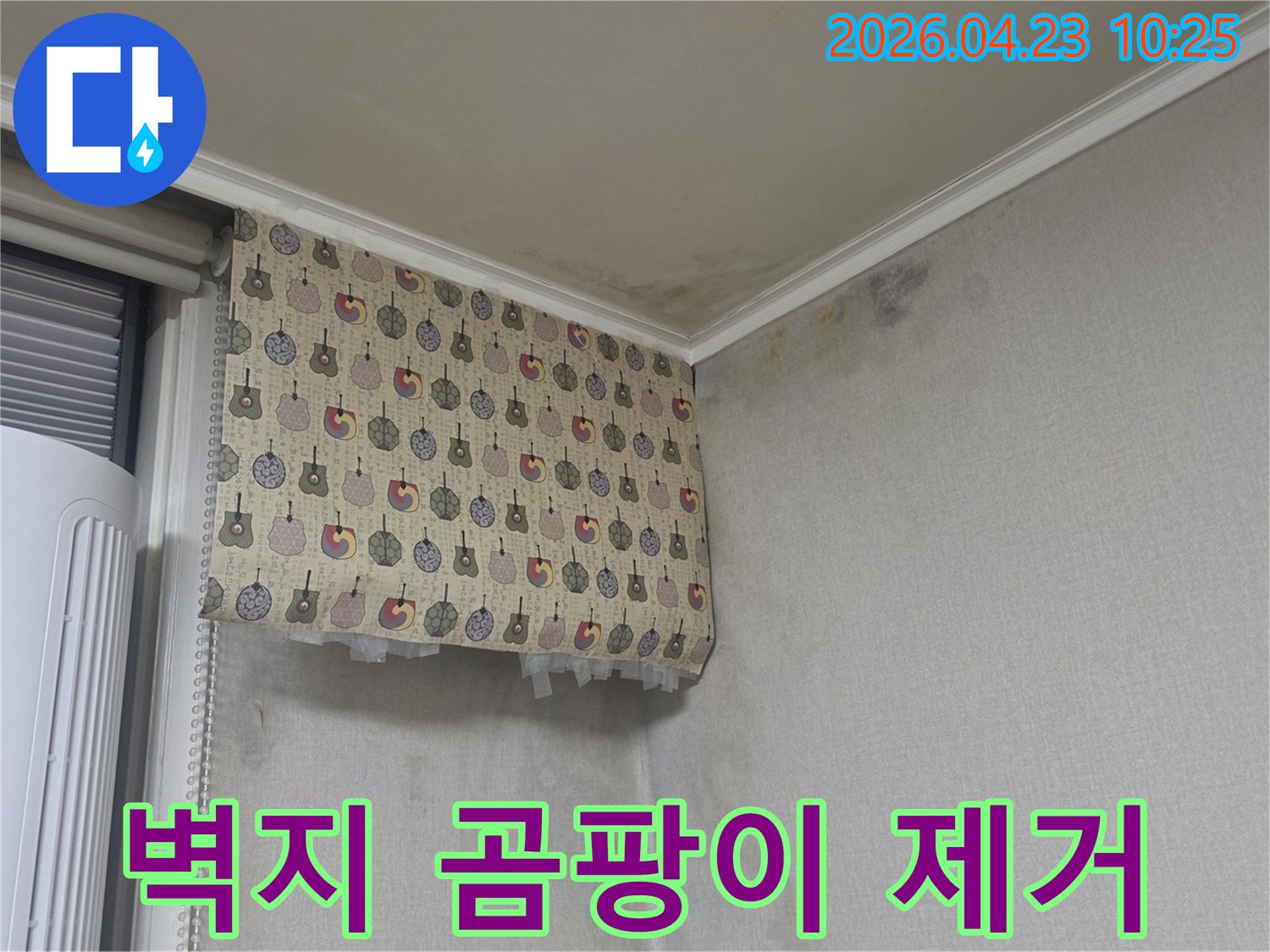 벽지에-심하게-번식한-곰팡이를-전문적으로-제거해야-하는-현장-사진입니다
