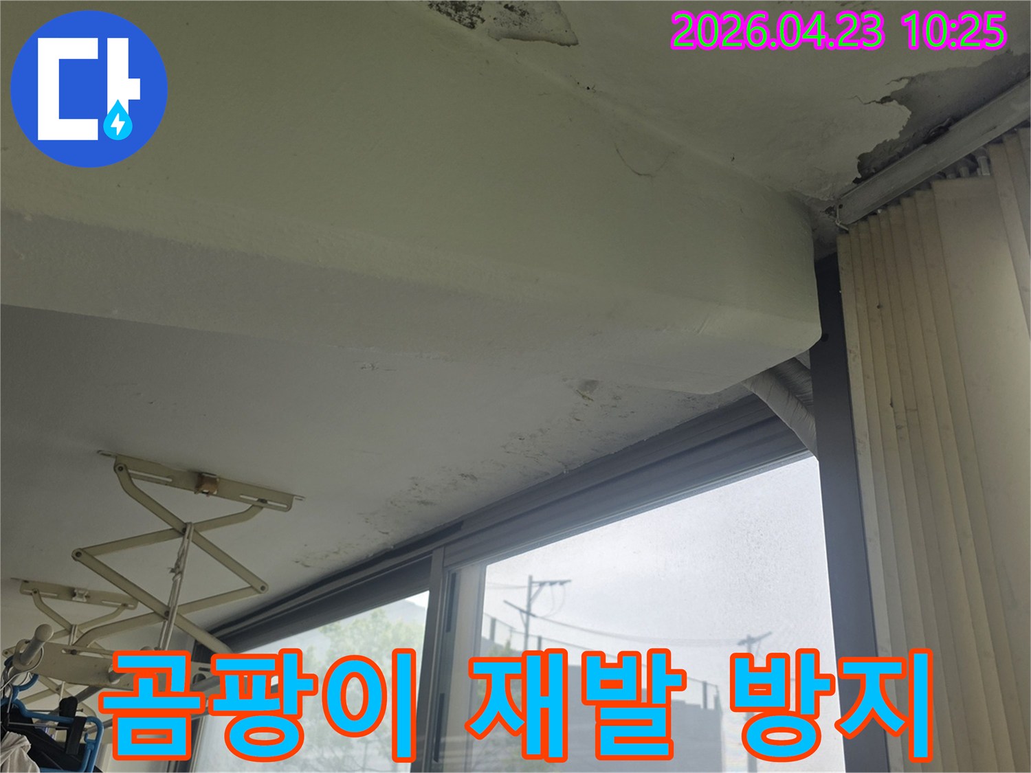 서울 은평구 갈현동 아파트-천장 누수로 인한-곰팡이 발생-재발 방지 솔루션이 필요한-현장 모습