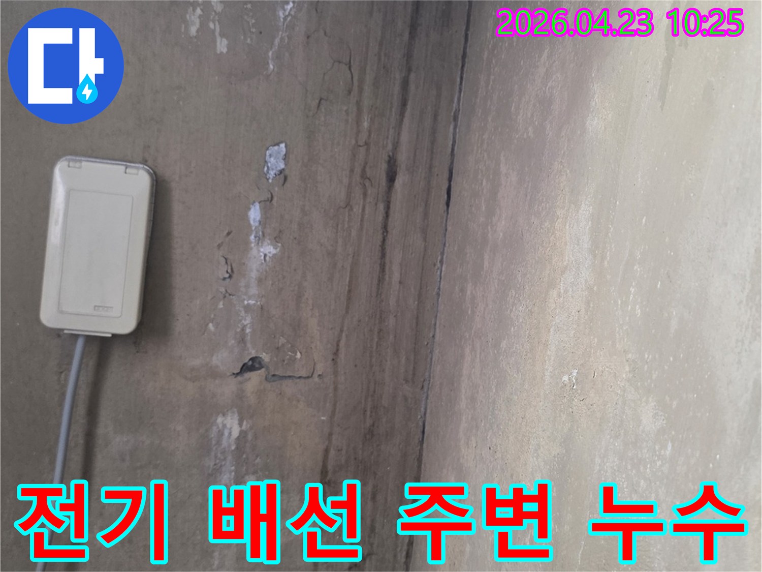 습기로-인해-천장과-벽면-경계에-생긴-변색과-재료-손상-상태
