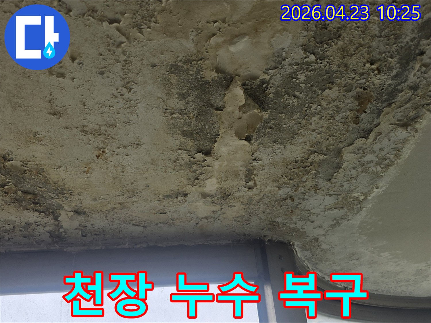 심각한 물기로 인해 천장 표면이 거칠어지고-곰팡이와 함께 페인트가 박리된-누수 발생 현장
