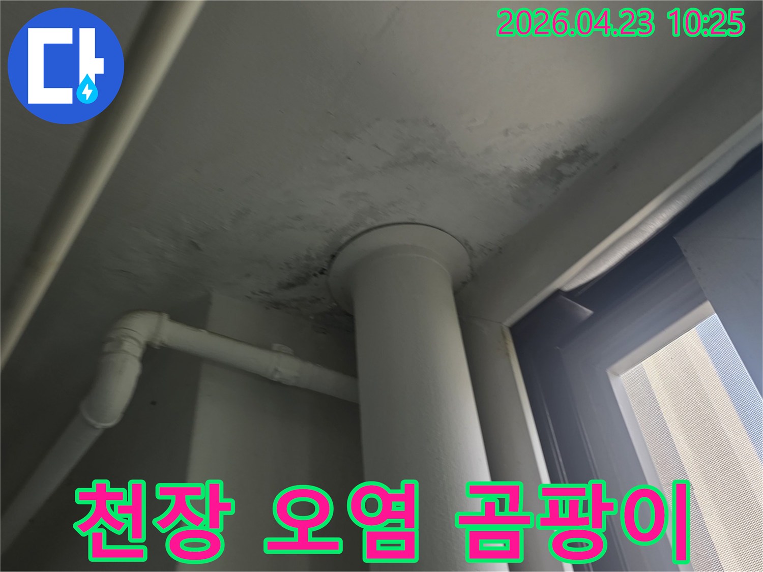 천장 배관 주변에 발생한 오염과 곰팡이-확인