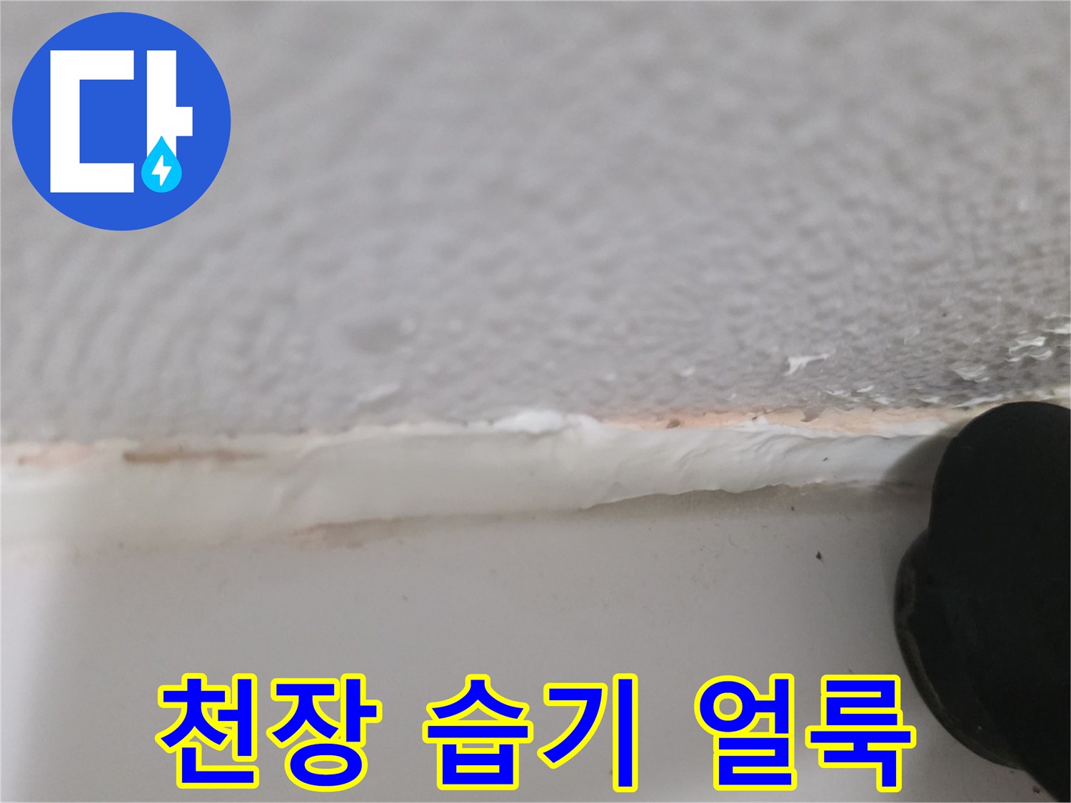 화장실 천장 부위-틈새를 따라 발생한 젖은 자국과 오염