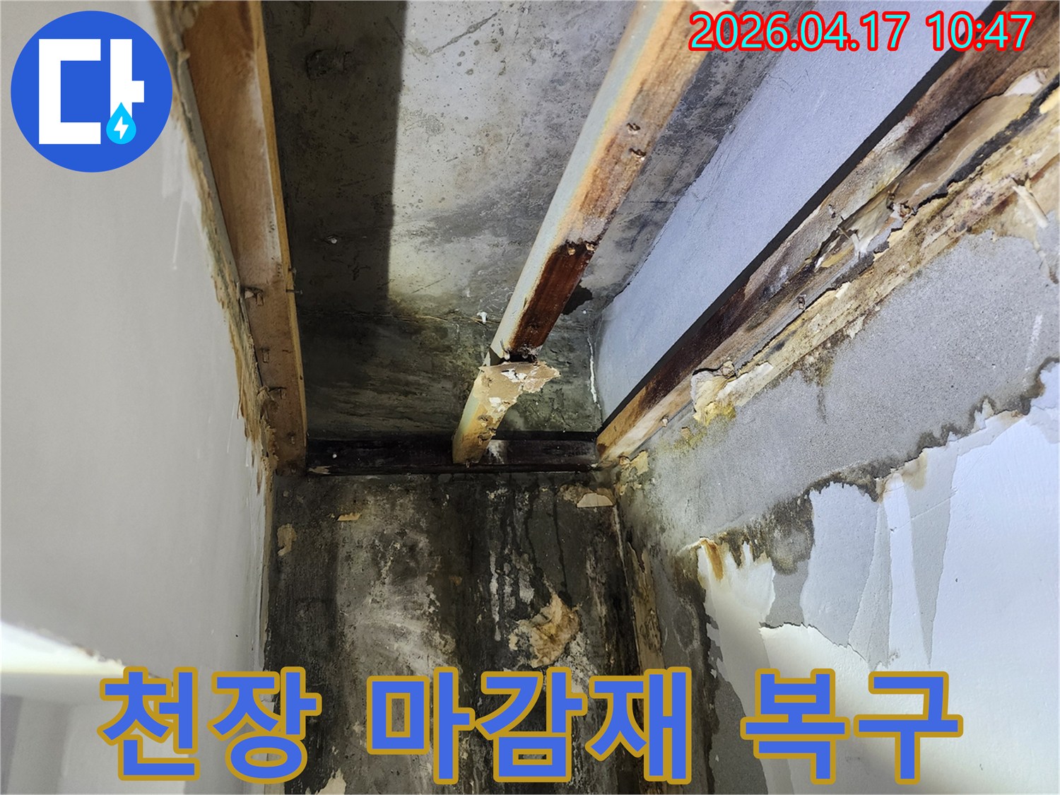 이 이미지는-서울 서초구 잠원동에서 발생한-천장 누수로 인한-심각한 마감재 손상과-목재 부식 현장을 보여줍니다