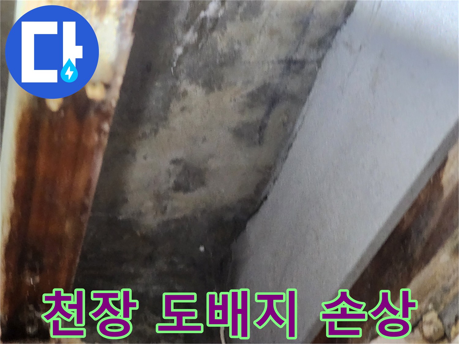 천장 도배지에 누수로 인한 물자국과-곰팡이로 인한 손상 현장을 보여주는 이미지입니다