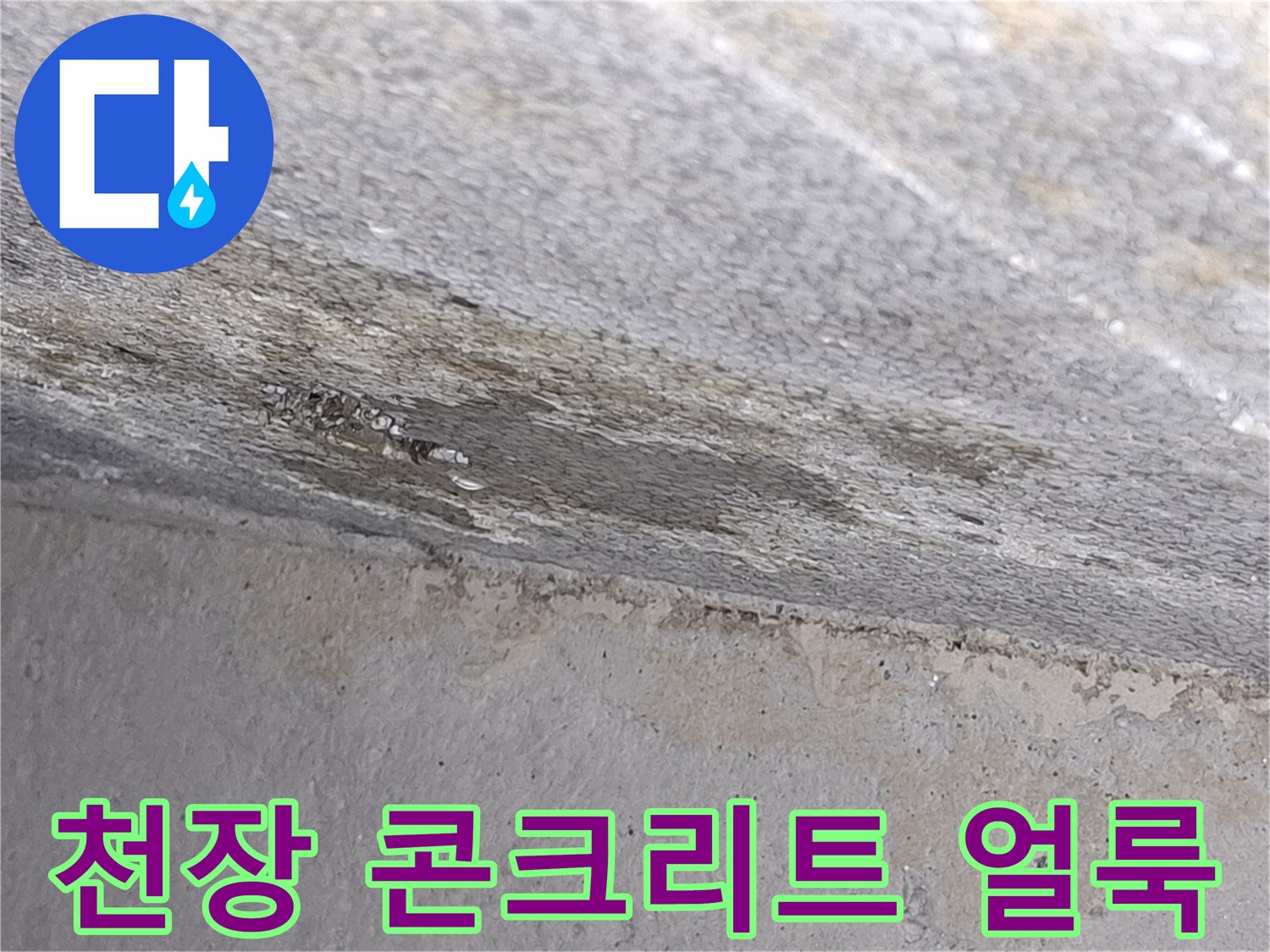 파주 운정 현장의 콘크리트 천장 슬래브에 나타난 젖은 누수 흔적