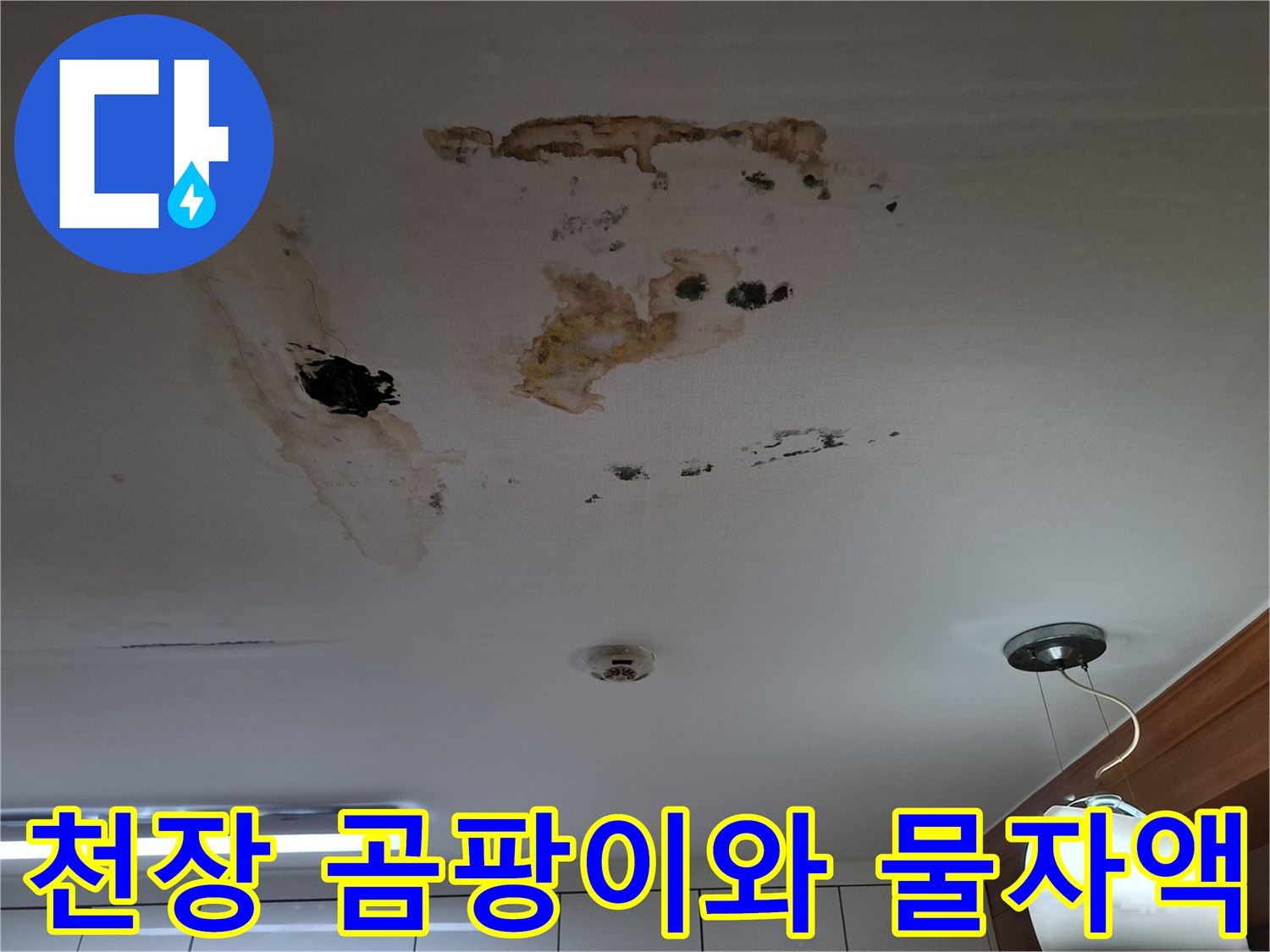 남양주 평내동 아파트 - 천장 곰팡이 및 갈색 물자국 현상