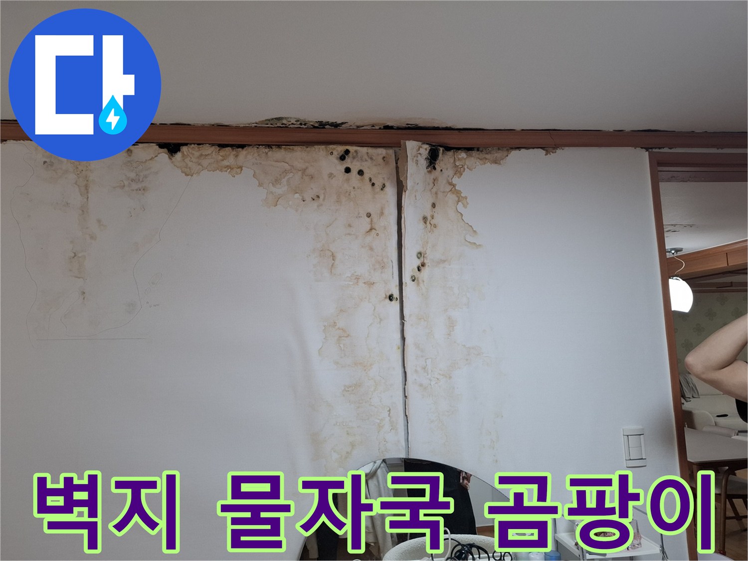아랫집 천장-누수로 인한 곰팡이와 갈색 얼룩 현황
