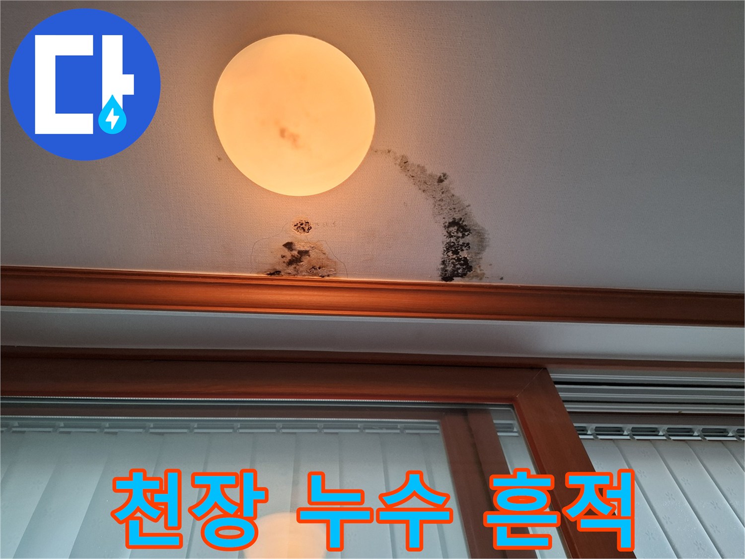 천장 벽면의 갈색 물자국과 검은 곰팡이 분포도