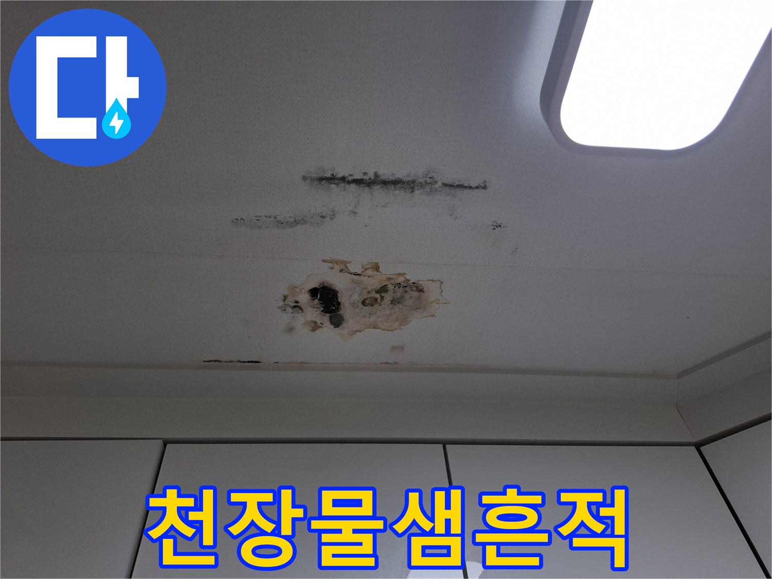 천장 벽지가 젖어 발생한 갈색 얼룩과 곰팡이 사진