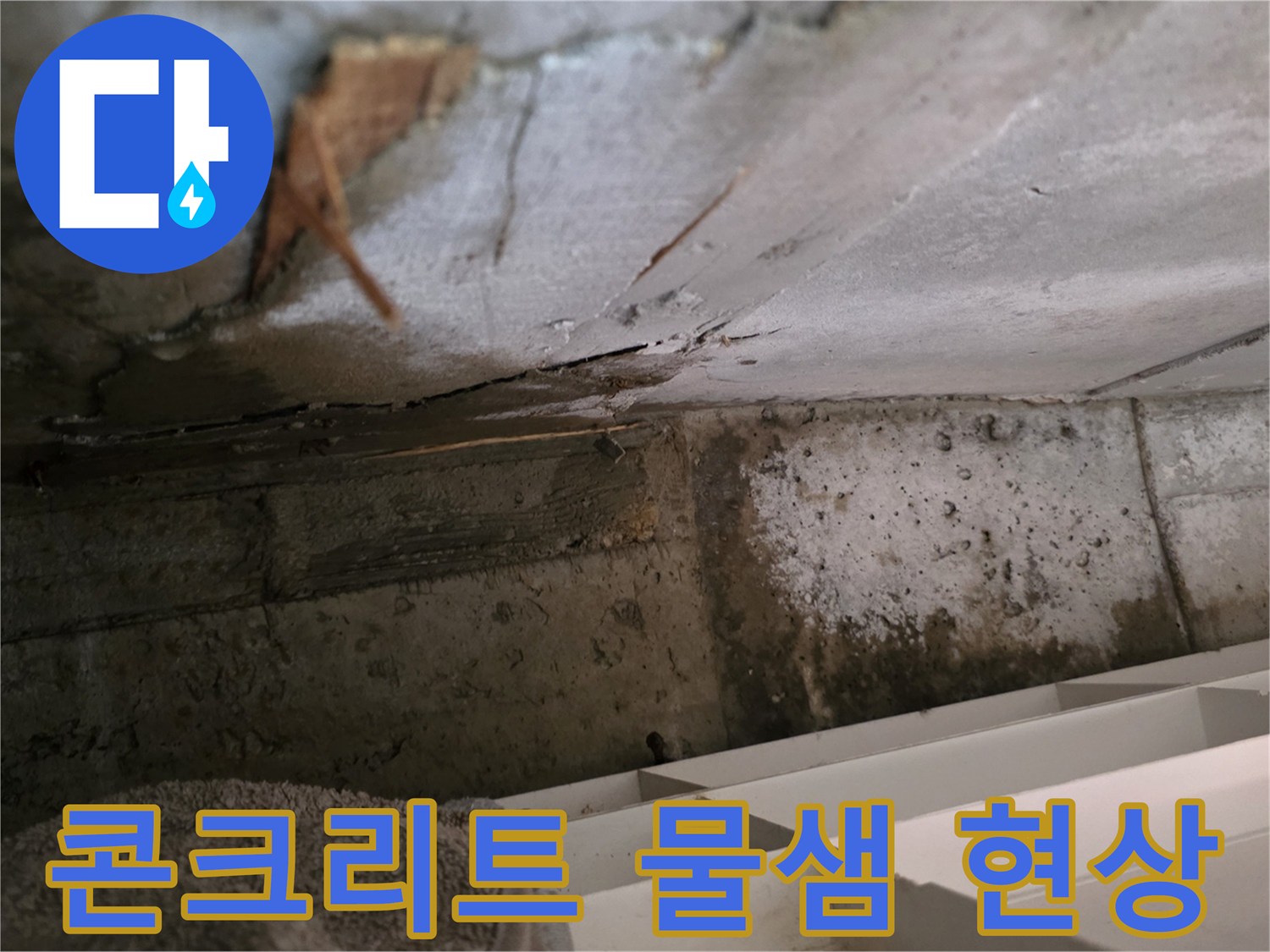 콘크리트 구조물에서-발생한 물샘 현상으로-주변에 습기가-확산되고 있는-누수 지점입니다