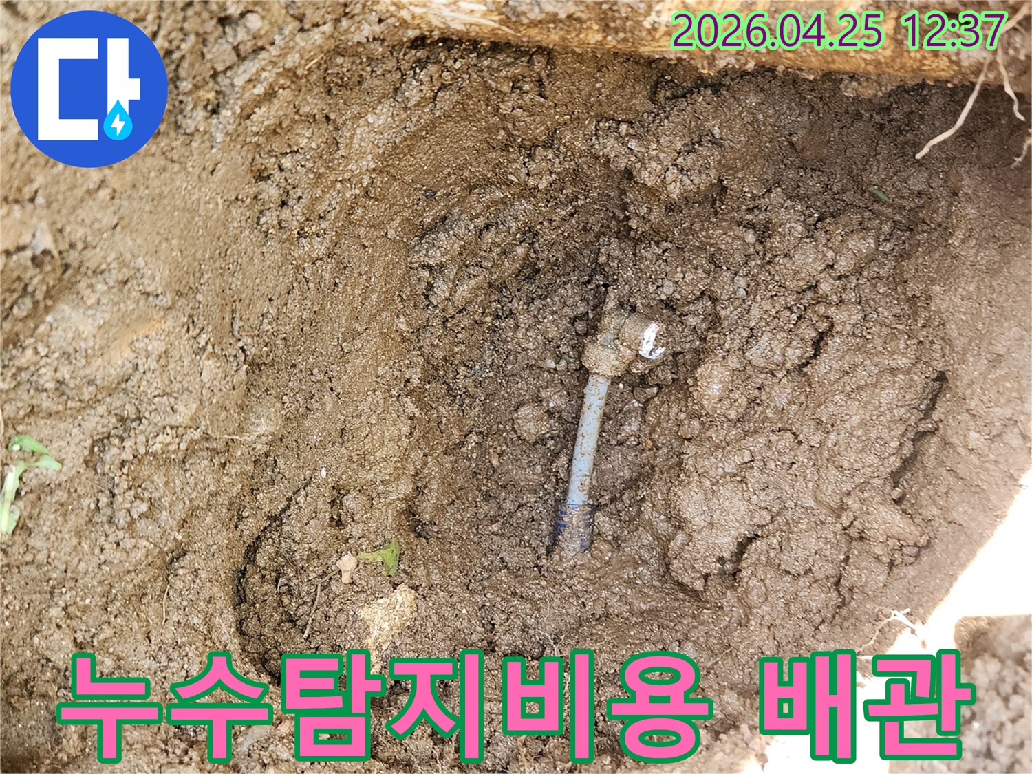 합리적인 누수탐지비용으로- 땅속 수도 배관의- 누수 지점을- 정확히 찾아낸 모습입니다.