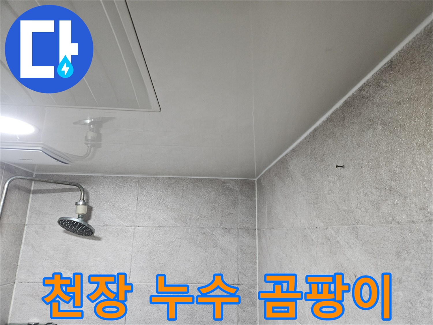이 사진은-안양 만안구 청호아파트 욕실 천장에서-누수로 인해 발생한-곰팡이 흔적을-전문가가-확인하는-모습을 보여줍니다.