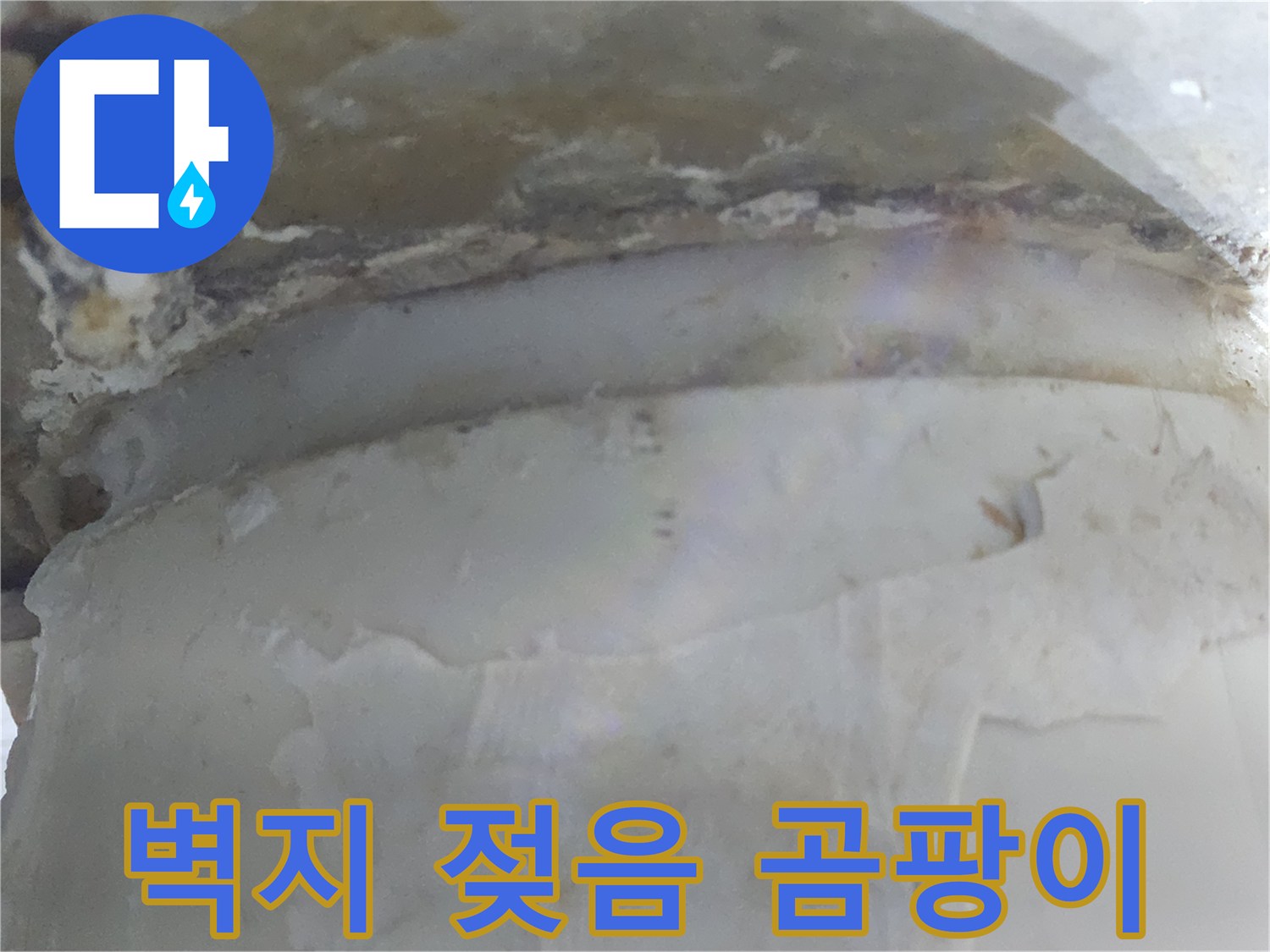 누수로 인해 벽지가 젖고-곰팡이가 번식한 모습을-선명하게 보여줍니다