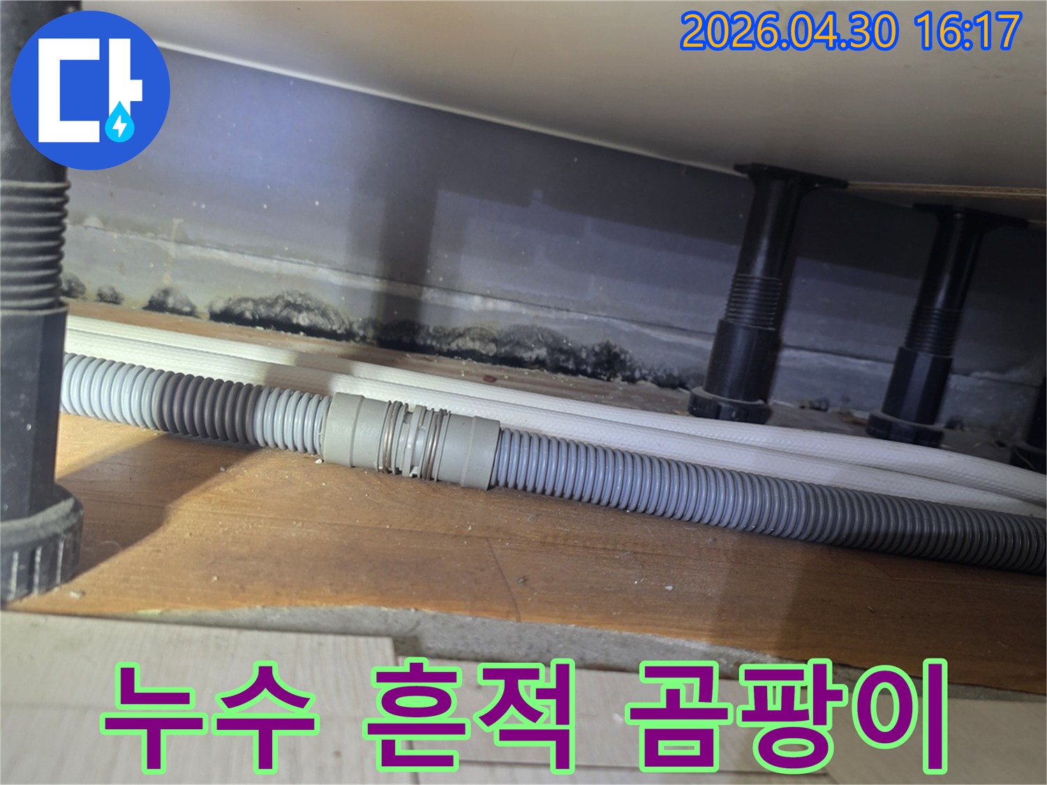 욕실 하부-배수관 주변에-남아있는 누수 흔적과-심각하게 번식한-검은 곰팡이 제거 현장