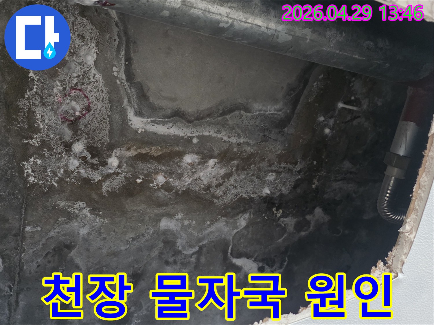 천장 콘크리트 표면에-누수로 인한 물자국과-얼룩이 광범위하게 퍼져있는 현장 사진입니다.