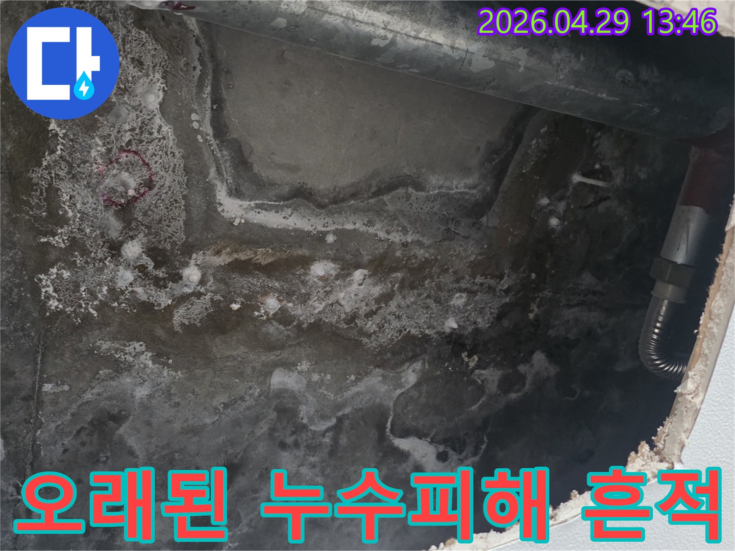 천장 콘크리트 표면에-오랜 기간 누적된 물자국과-하얀 결정체가 선명하게 보이는 모습입니다.