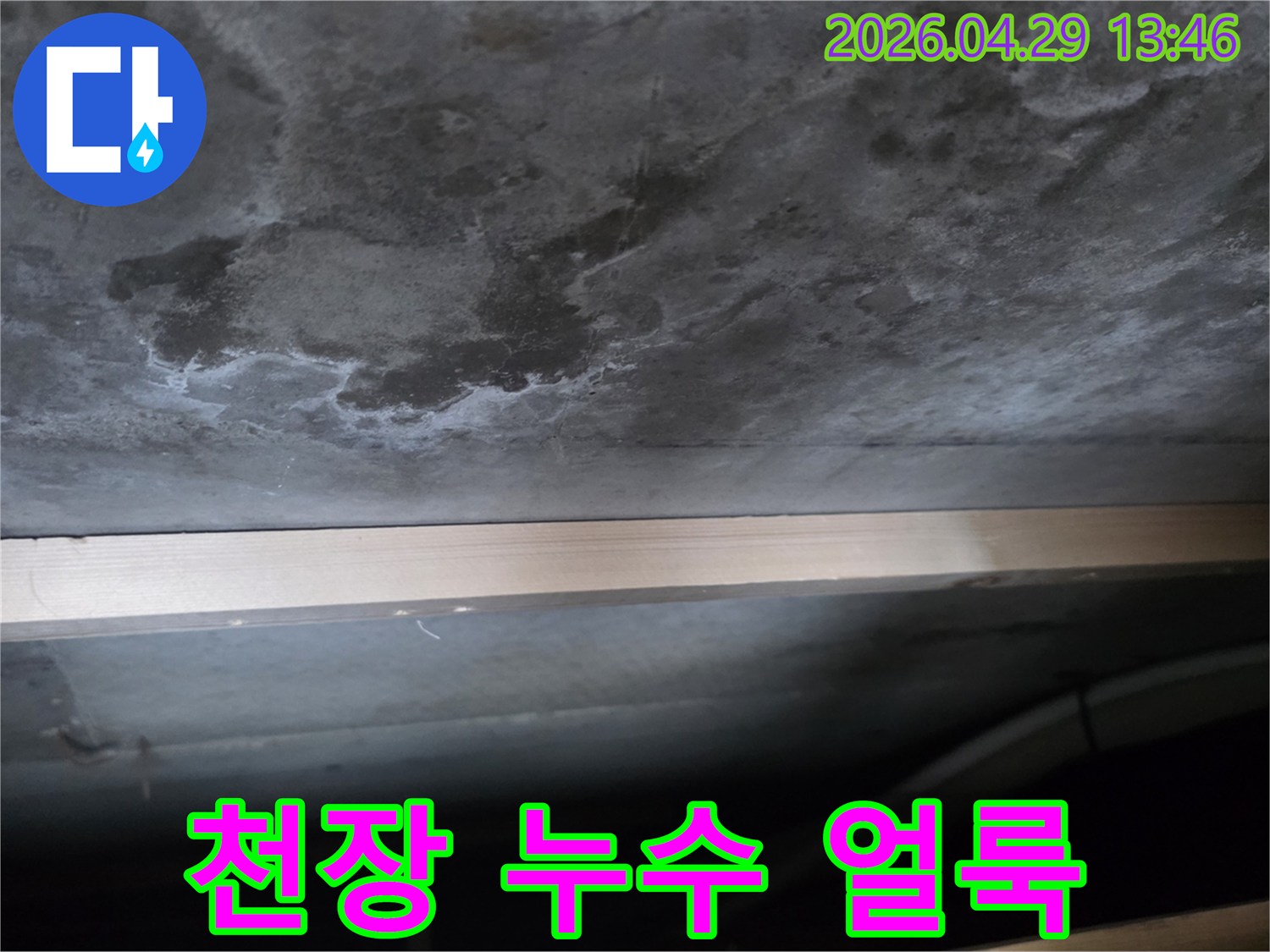 콘크리트 천장에 물이 새어 생긴 어두운 얼룩과-하얀 백화 현상이 뚜렷하게 보이는 사진입니다.
