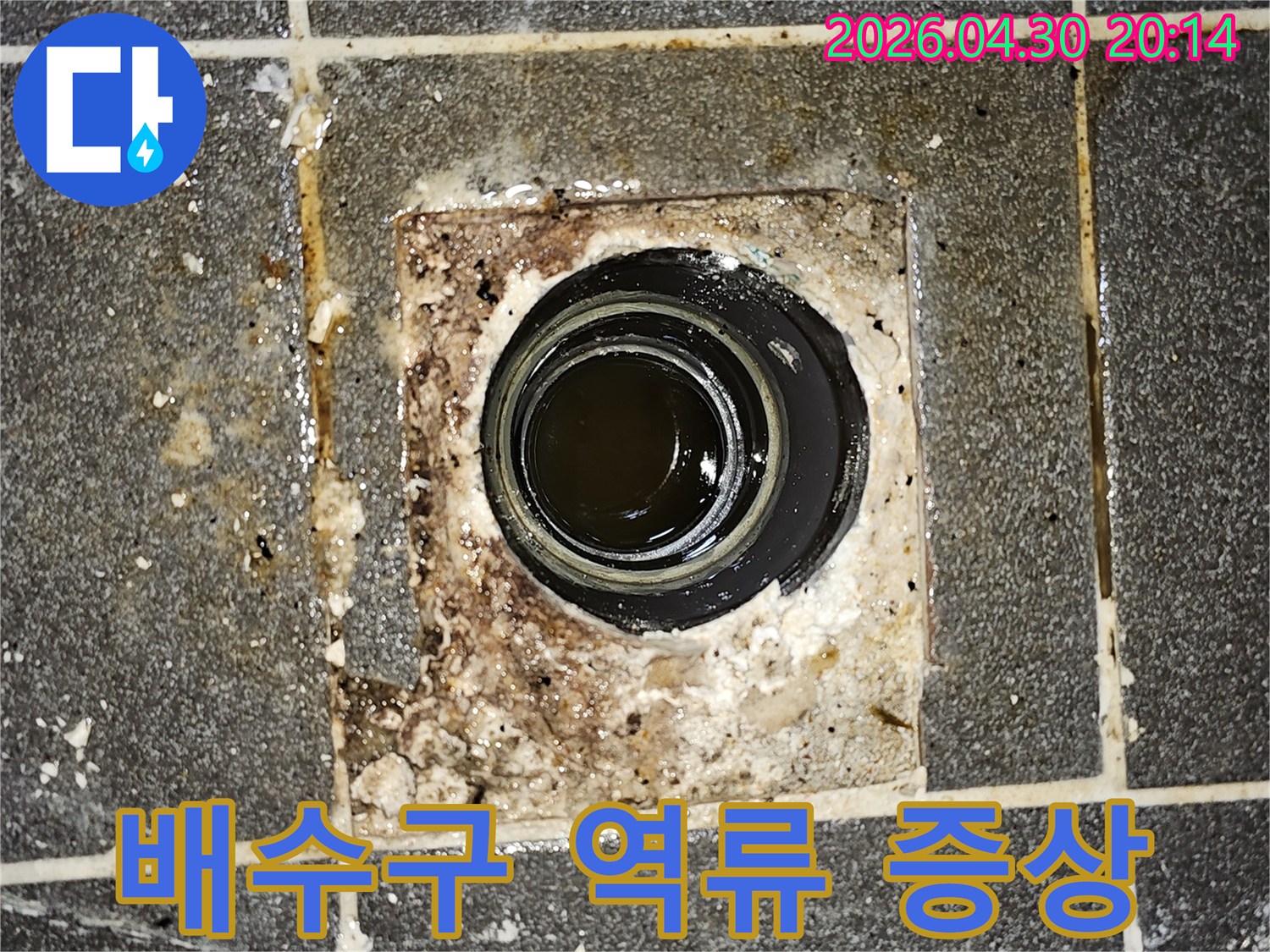 배수구에-고여-있는-오염된-물은-배관-막힘으로-인한-역류-현상을-명확히-보여줍니다.