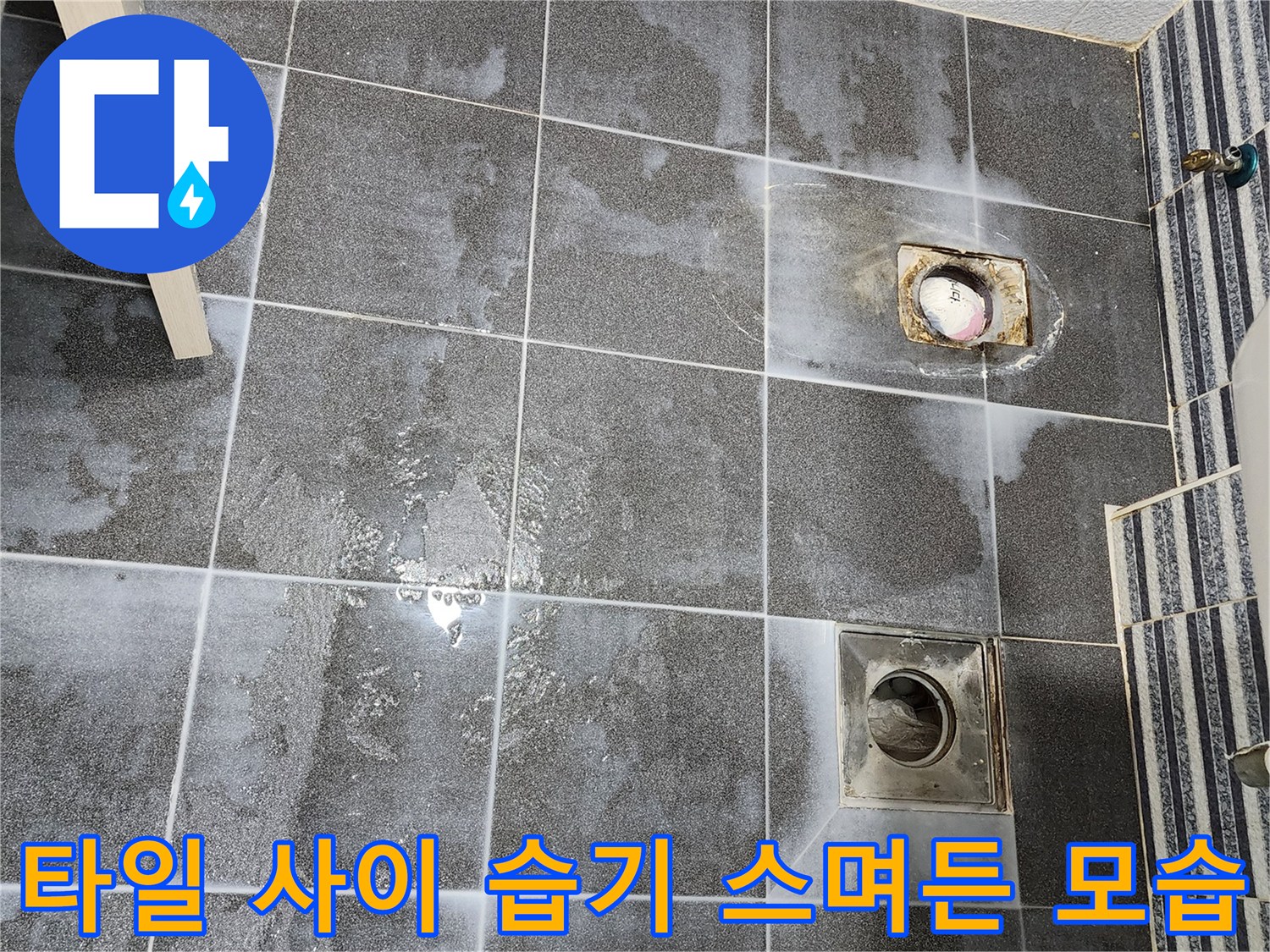 욕실 타일 틈새와 배수구 주변에 맺힌 수분 상태