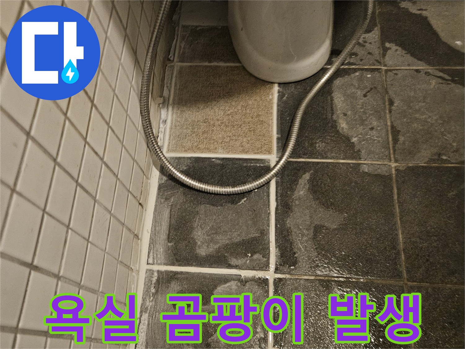 욕실 내부-벽 타일의 광범위한 물 손상과-곰팡이 발생을 명확히 보여줍니다.