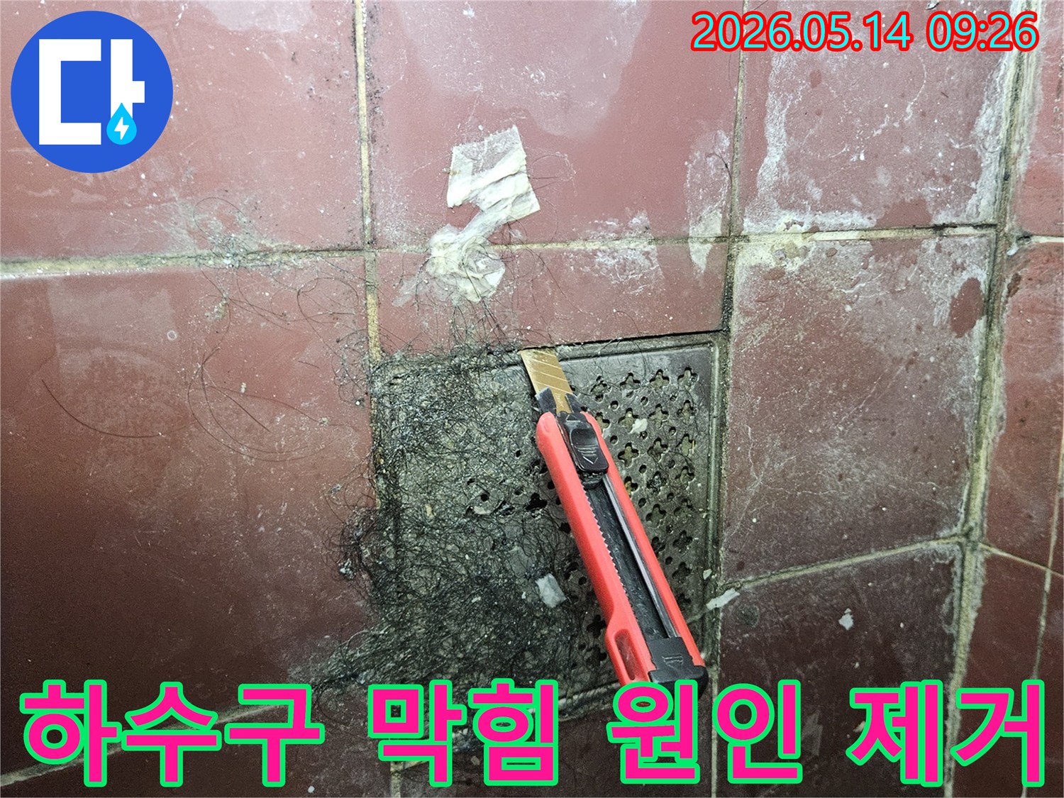 오래된 욕실 하수구에 엉킨 머리카락과 슬러지를 커터칼로 긁어내며 누수 원인을 파악하고 제거하는 모습