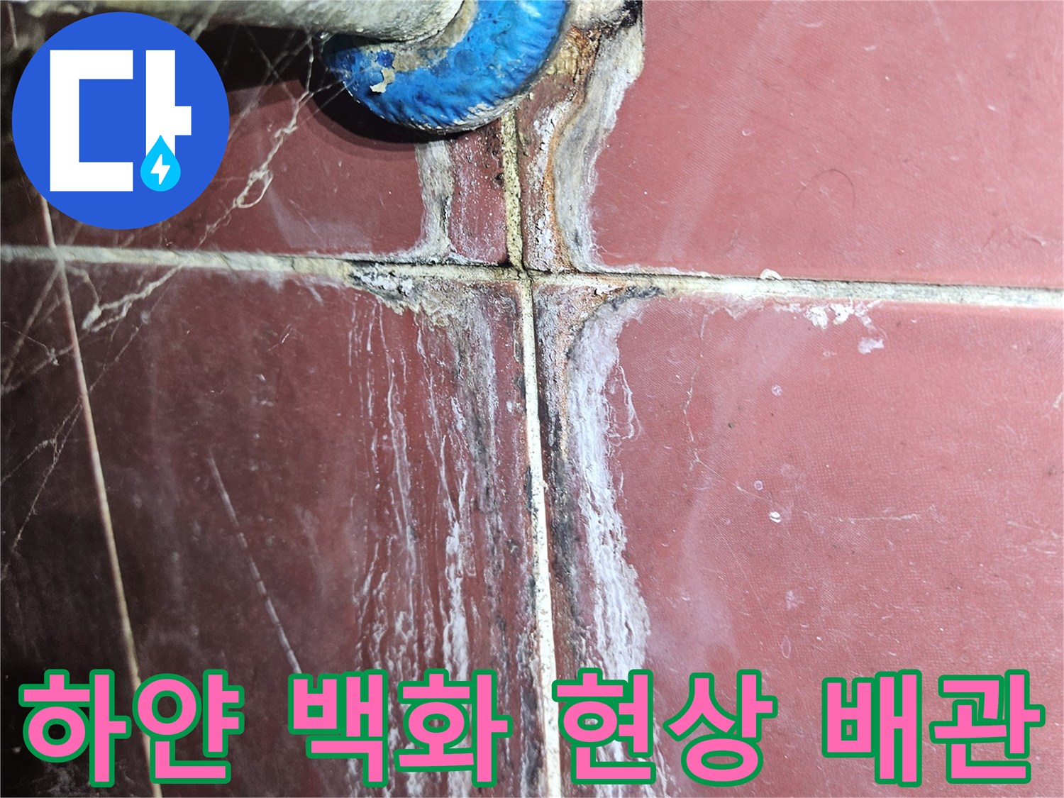 천장 배관 주변-물샘 흔적으로 하얗게 오염된 타일 벽면