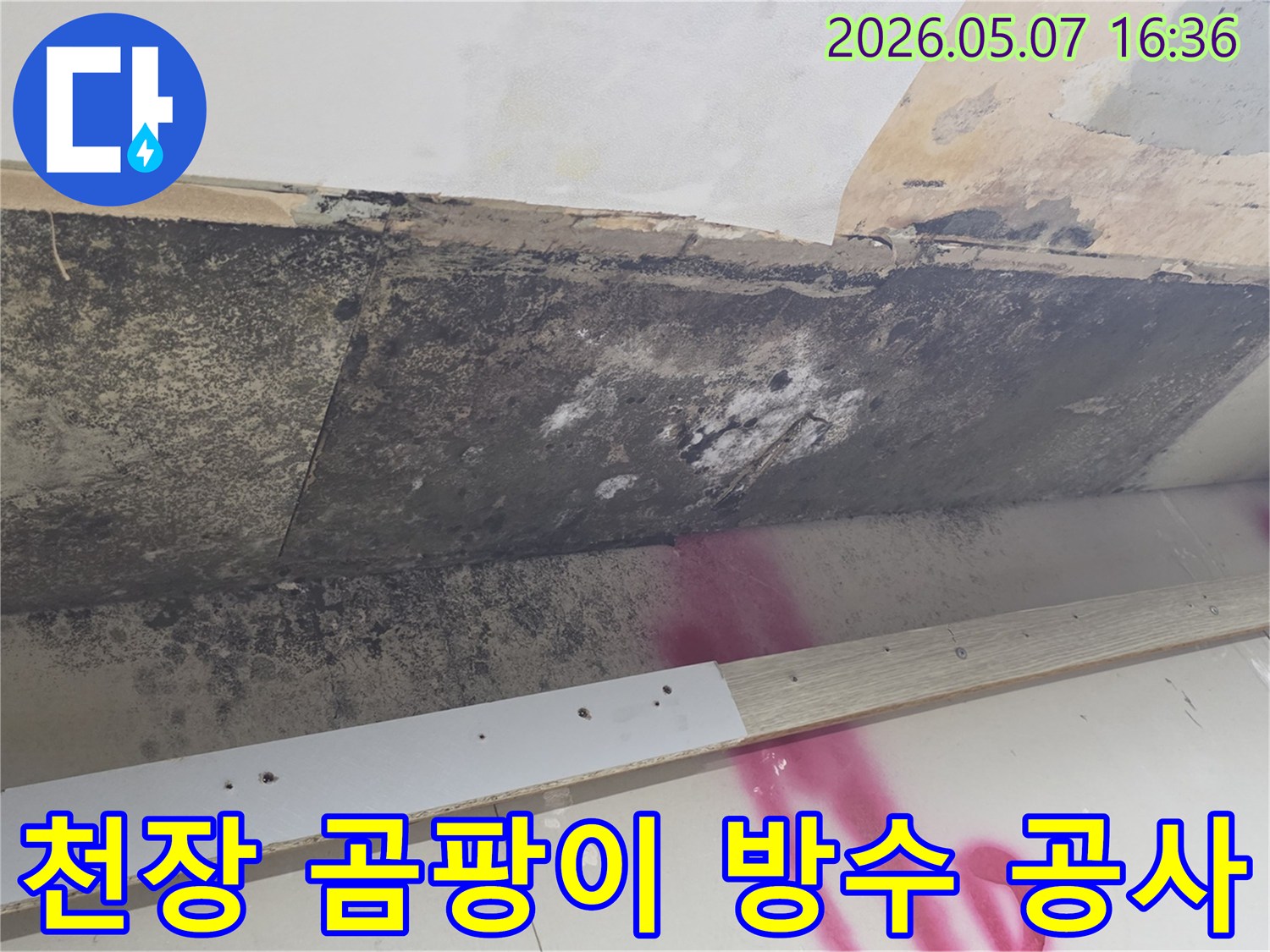 천장-누수로-인해-발생한-곰팡이-오염과-손상-부위를-확인하며-방수-공사를-계획하는-모습