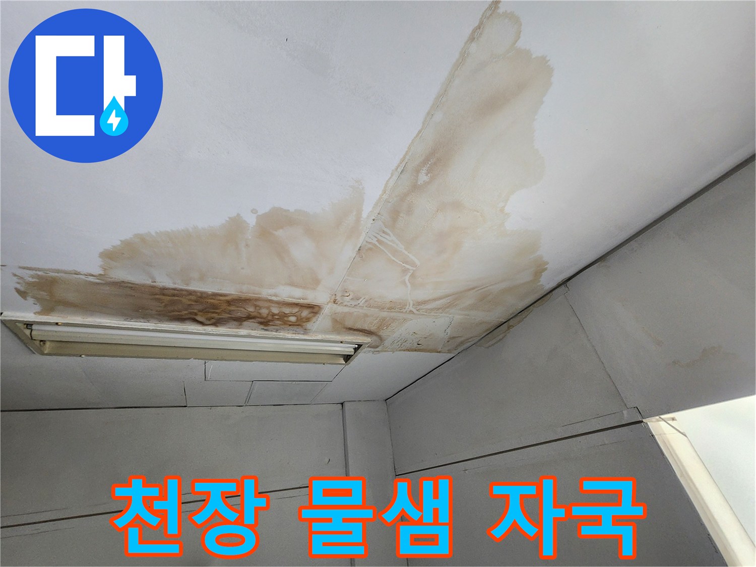 천장 표면에 물이 새어 발생한 넓은 갈색 얼룩과 곰팡이가 확산된 모습