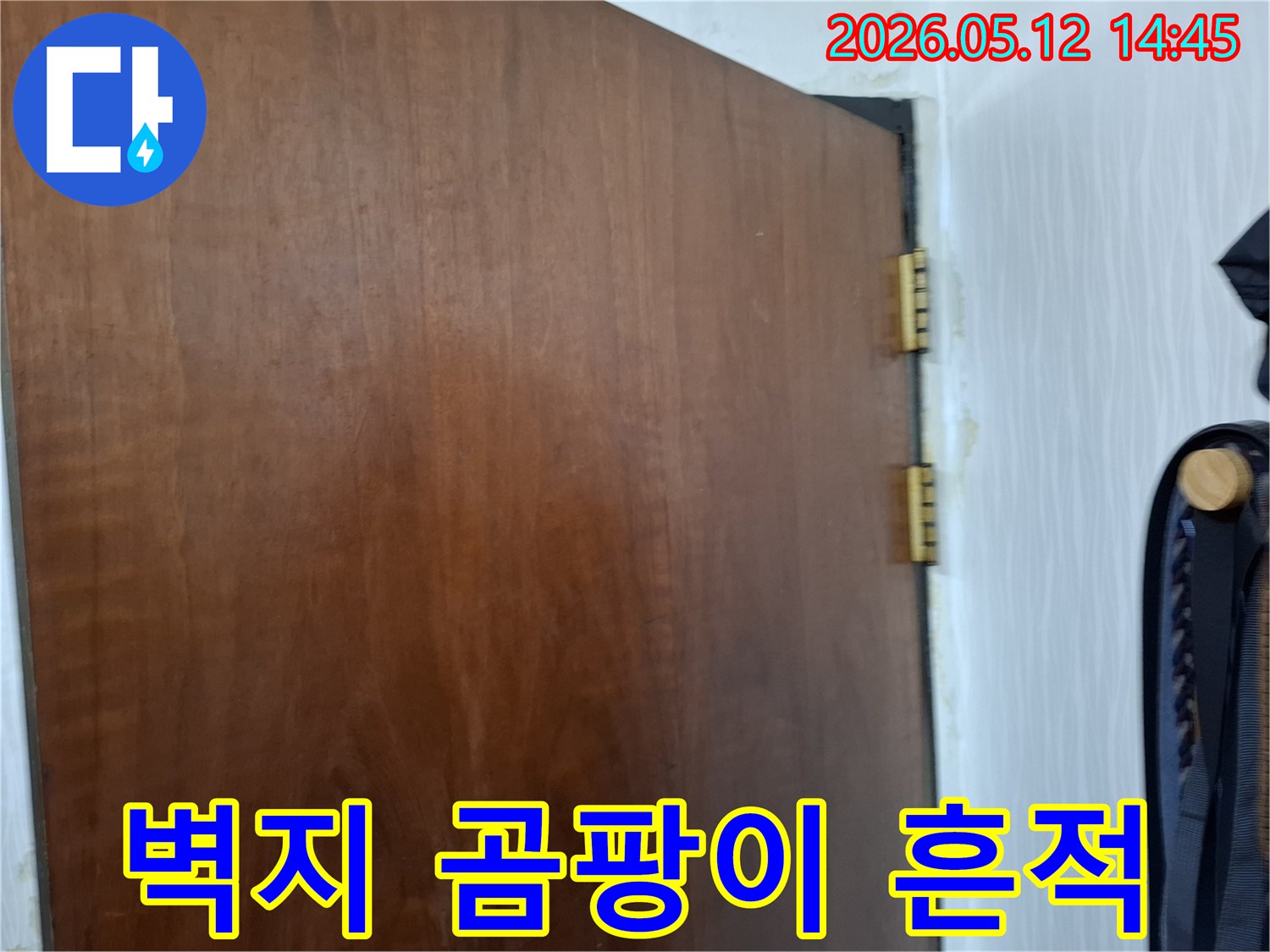 문-경첩-옆-벽지에-생긴-누수로-인한-곰팡이와-물자국을-보여주는-클로즈업-사진입니다